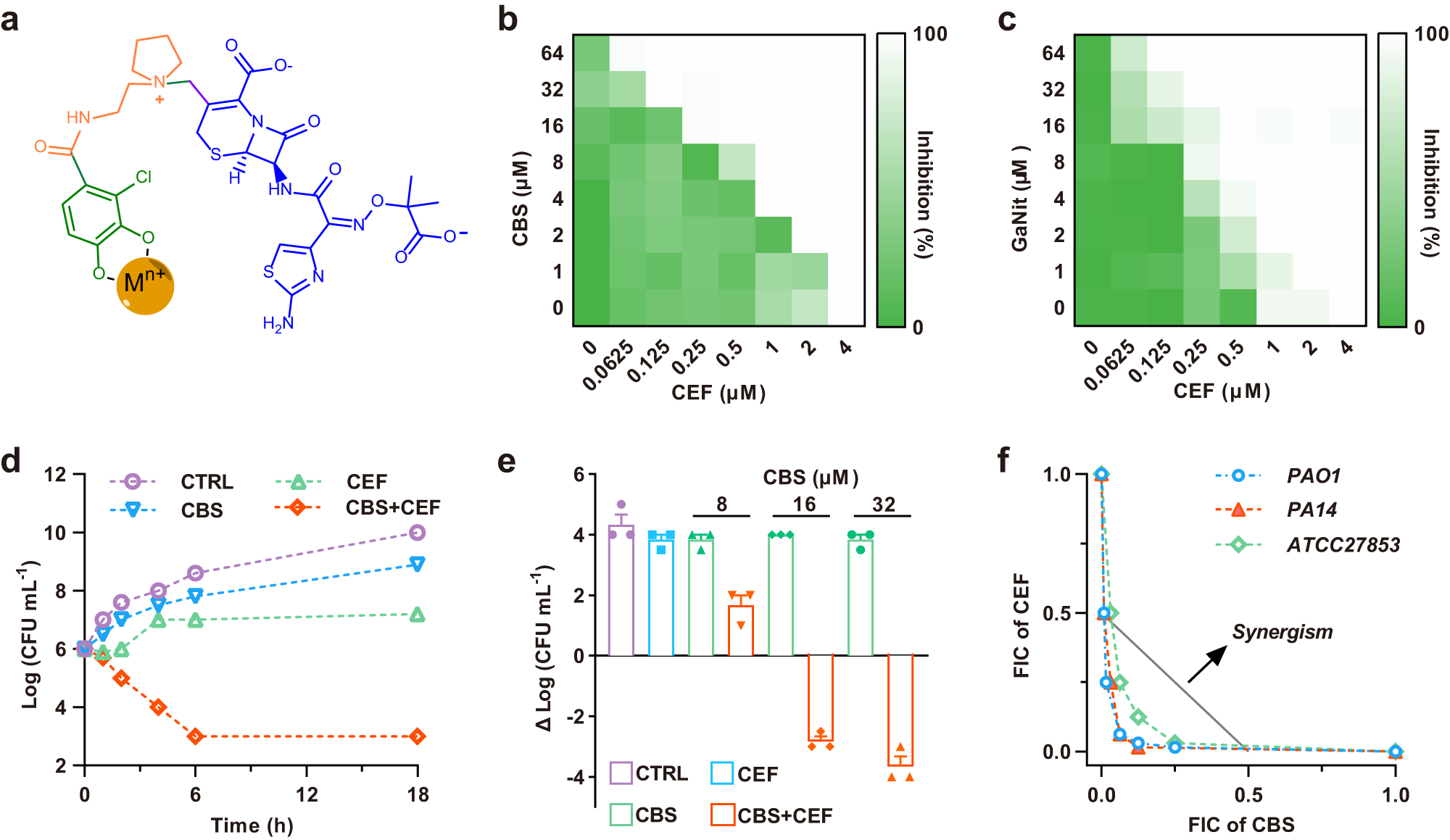 Fig. 1: Bismuth/gallium compounds have synergistic effects with cefiderocol against P. aeruginosa.