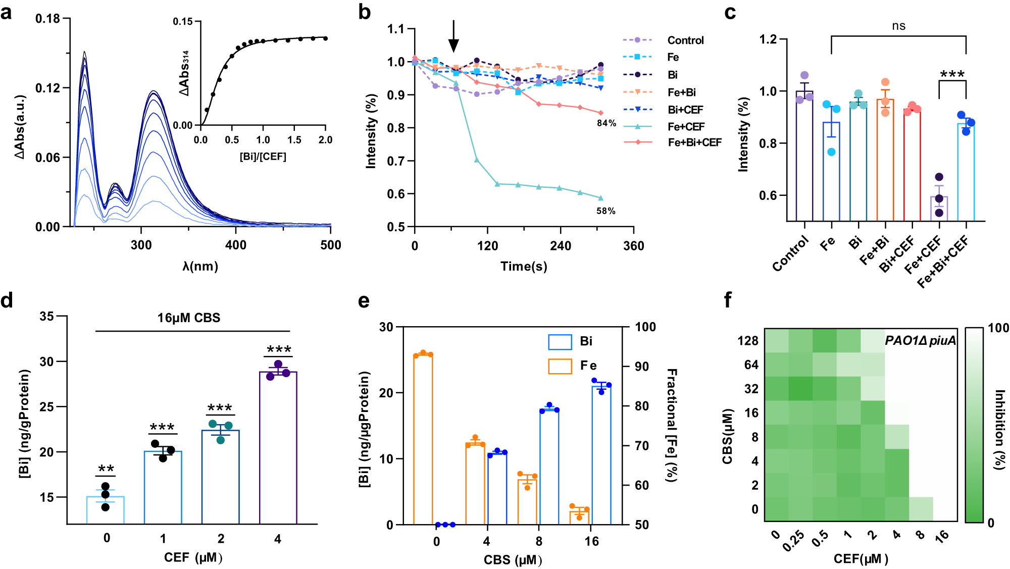 Fig. 3: Mechanistic insights into synergy between bismuth drugs and CEF.