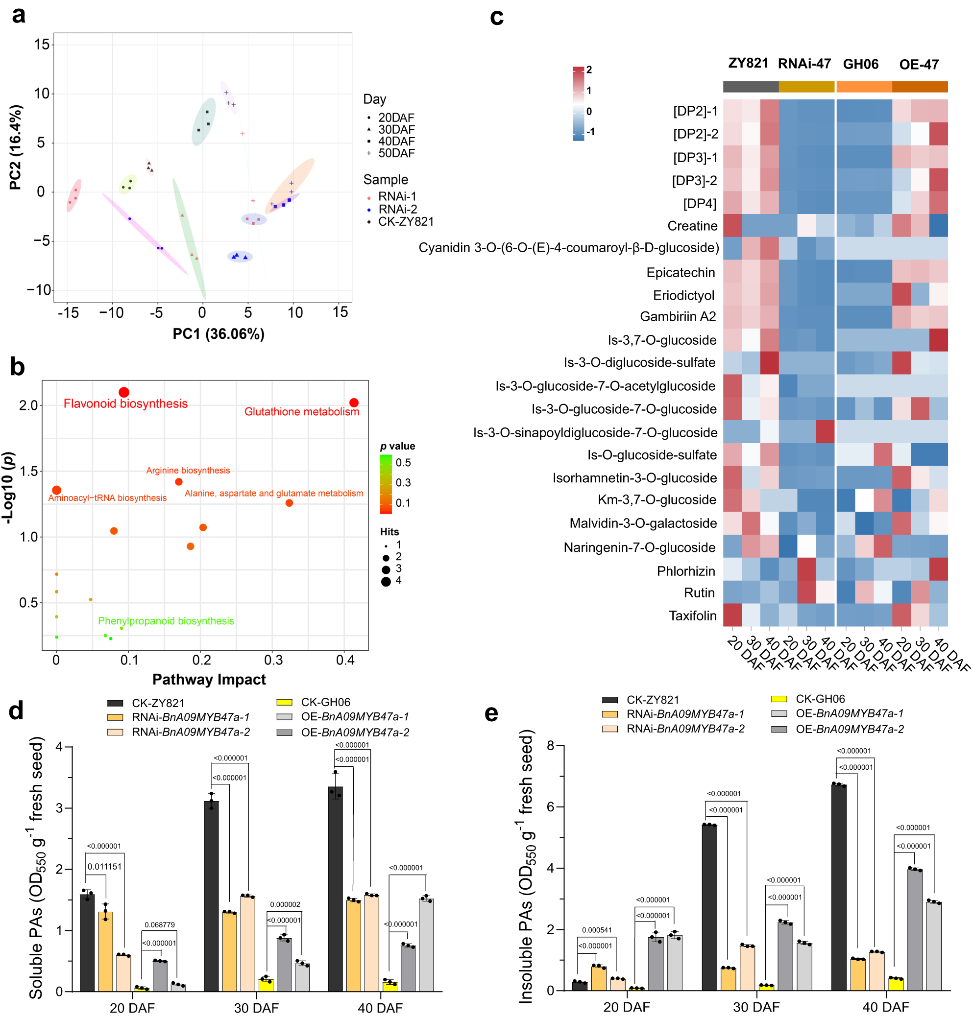 Fig. 4: BnA09MYB47a influences flavonoid profile and accumulation.