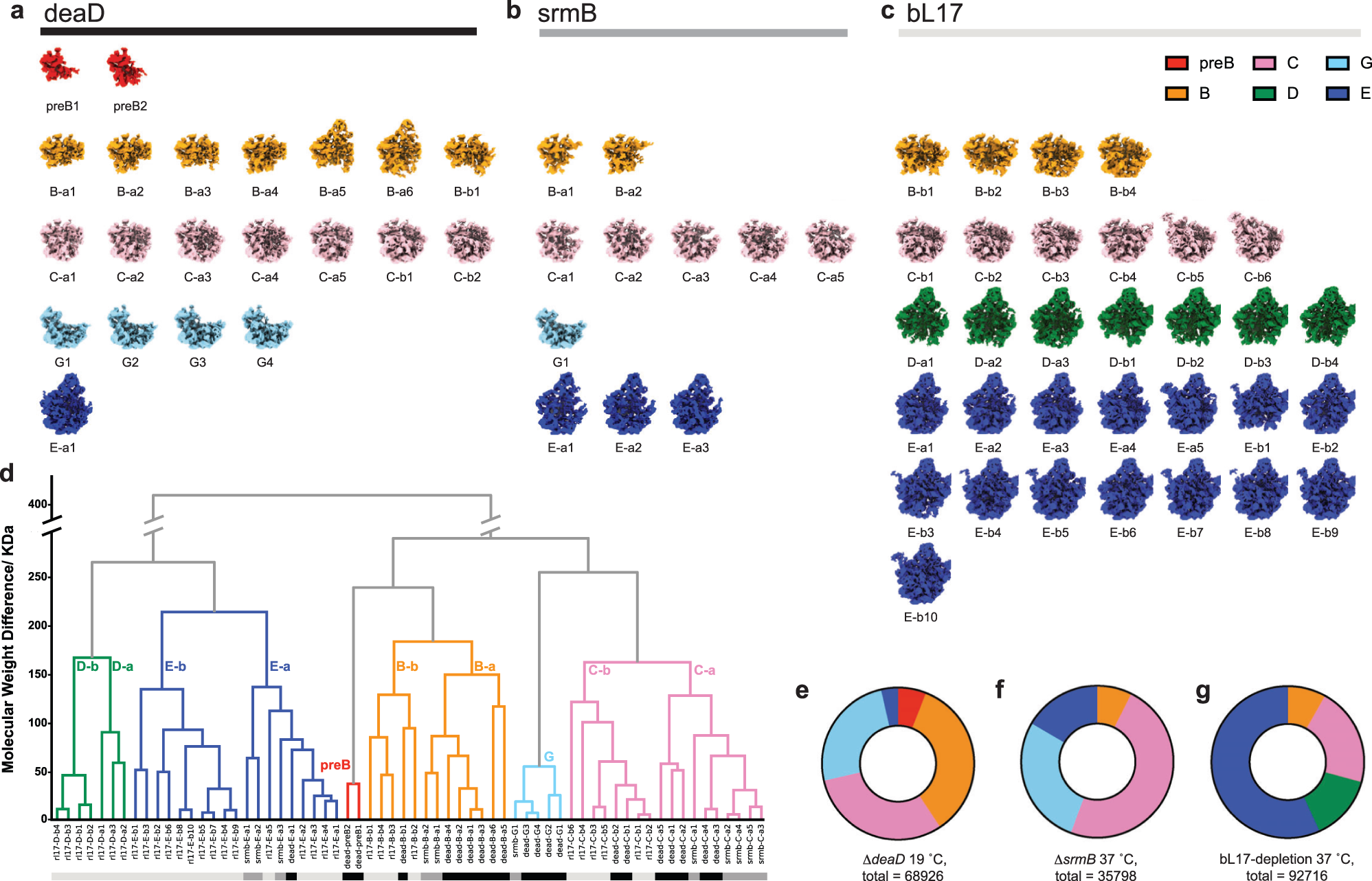 Solved Fig. 1 shows the data model for the pokemon database