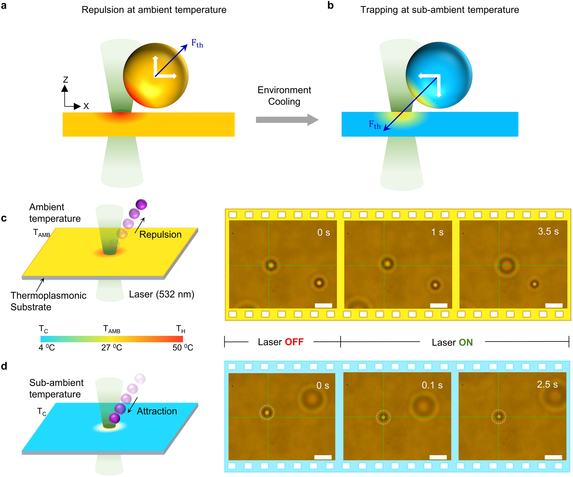 Hypothermal opto-thermophoretic tweezers | Nature Communications