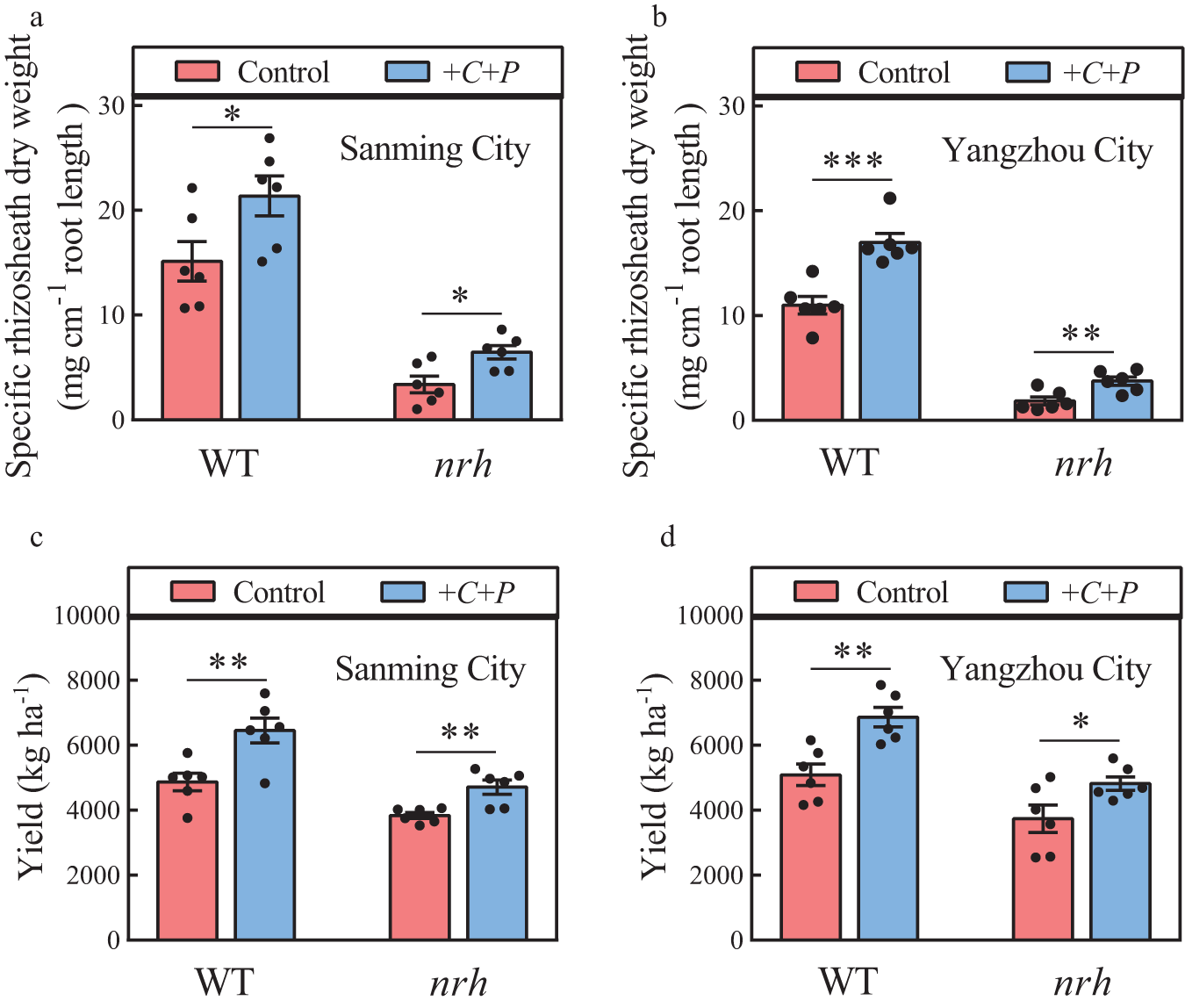 Fig. 4: Barley rhizosheath formation and grain yield are increased by C. culicis and P. polymyxa inoculation in the field (with Supplementary Fig. 8 and Supplementary Table 3).