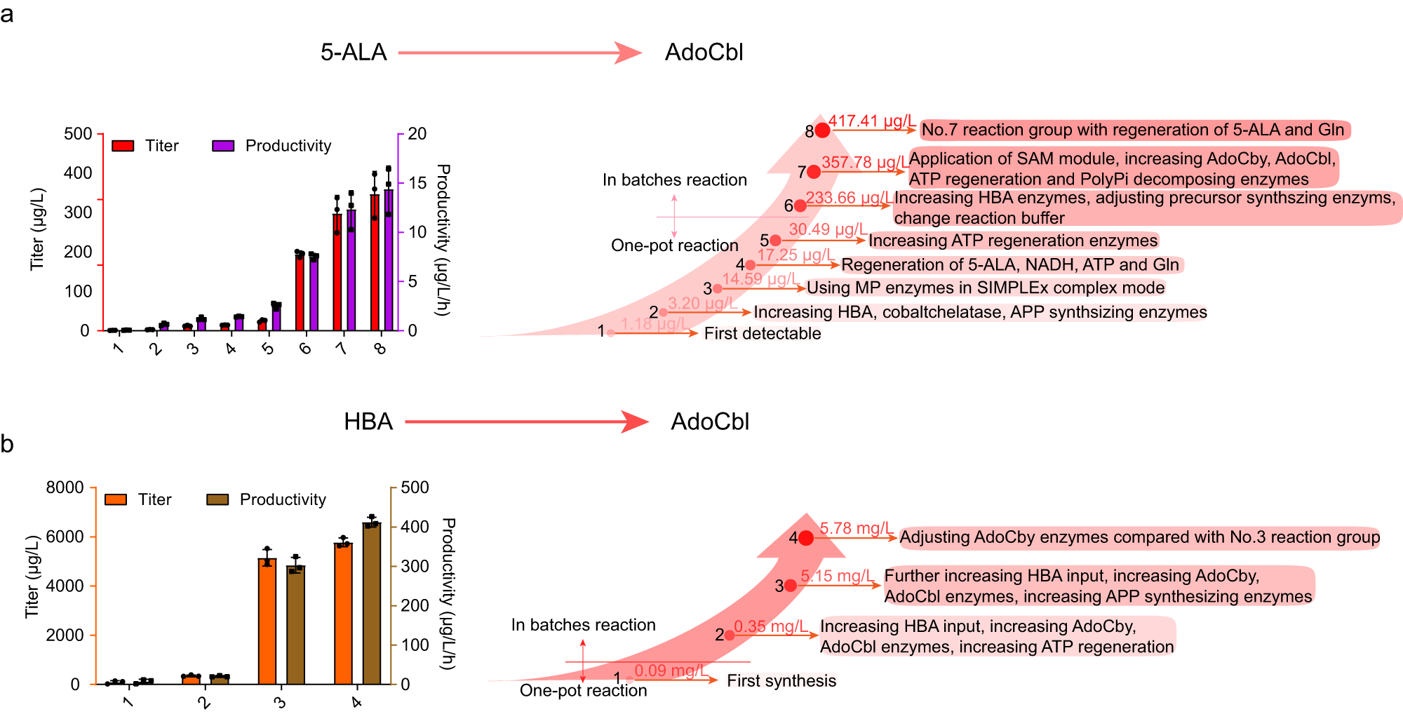 Fig. 8: Synthesis of AdoCbl in vitro.