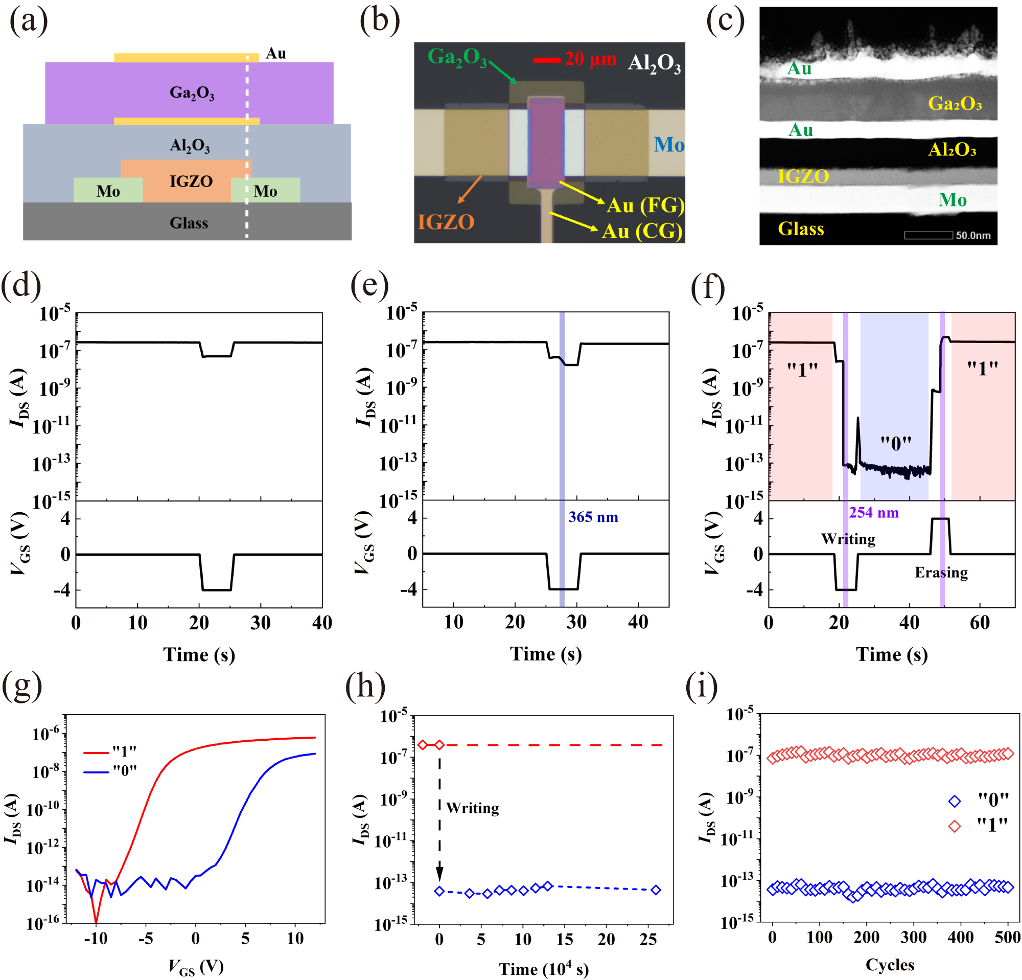 Fig. 3: The structure and performance of the final PSD-based optoelectronic memory device.