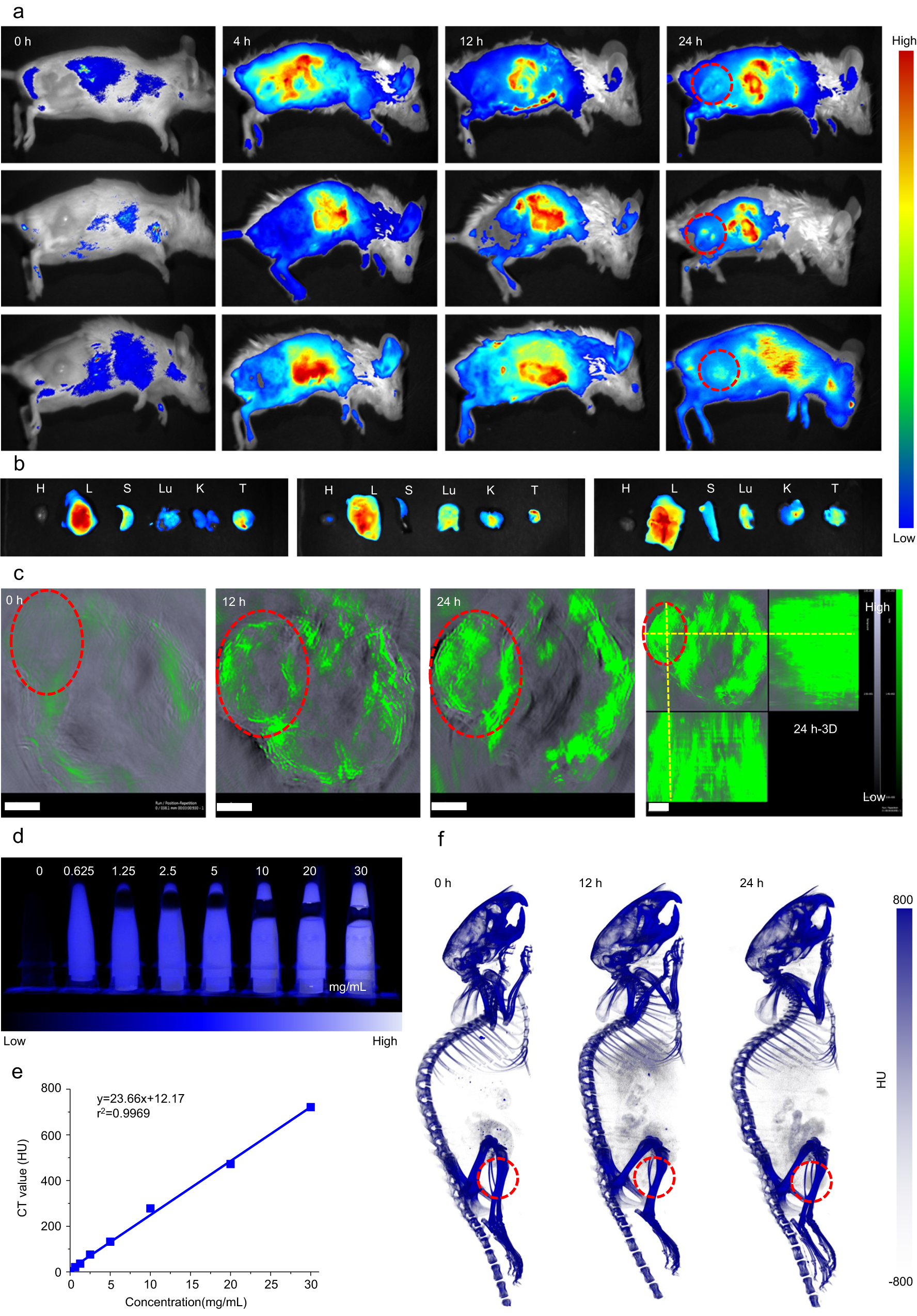 Fig. 6: In vivo imaging and biodistribution of the BST/CaO2 heterojunction.