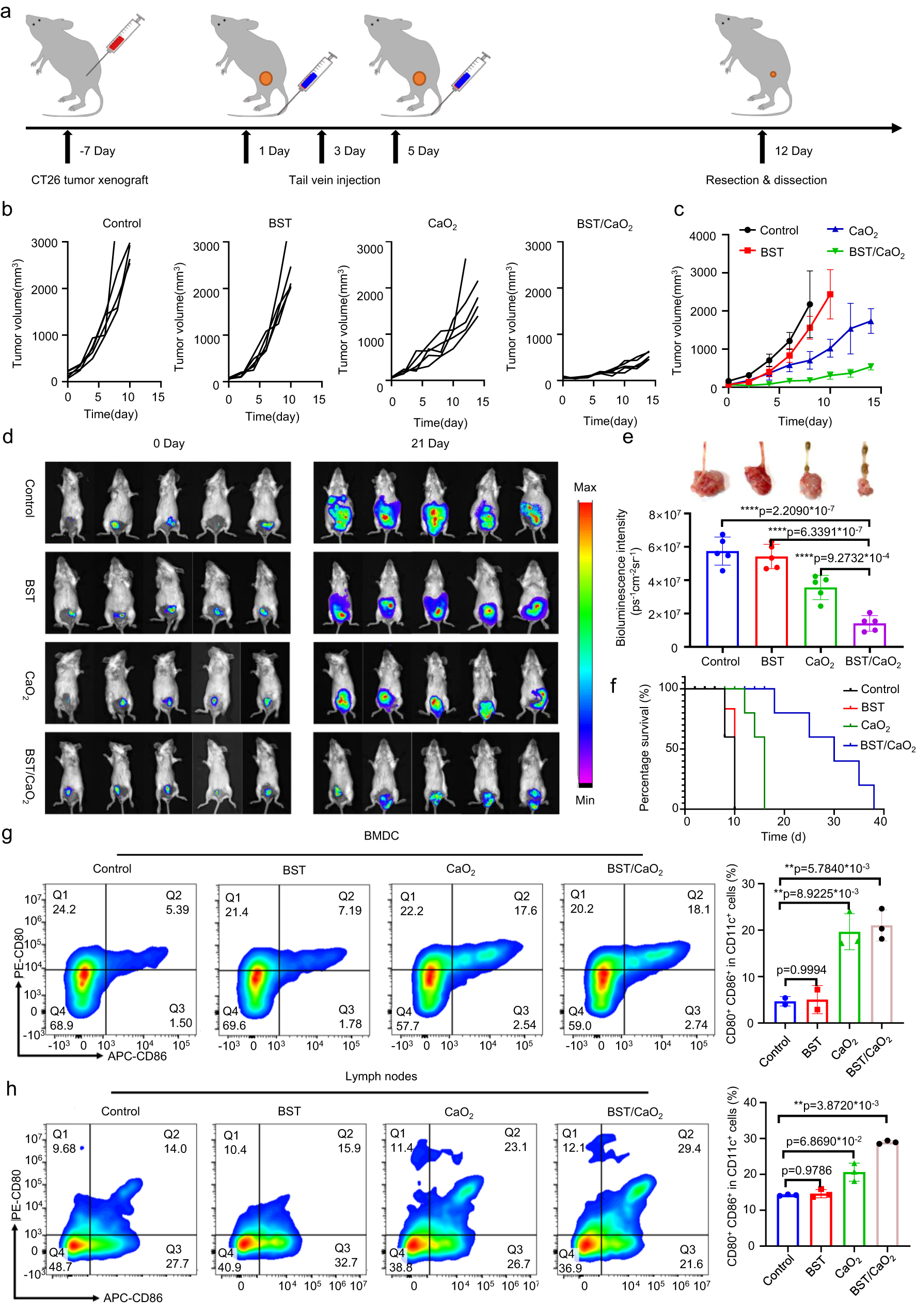 Fig. 7: In vivo antitumor performance of the self-triggered thermoelectric system.