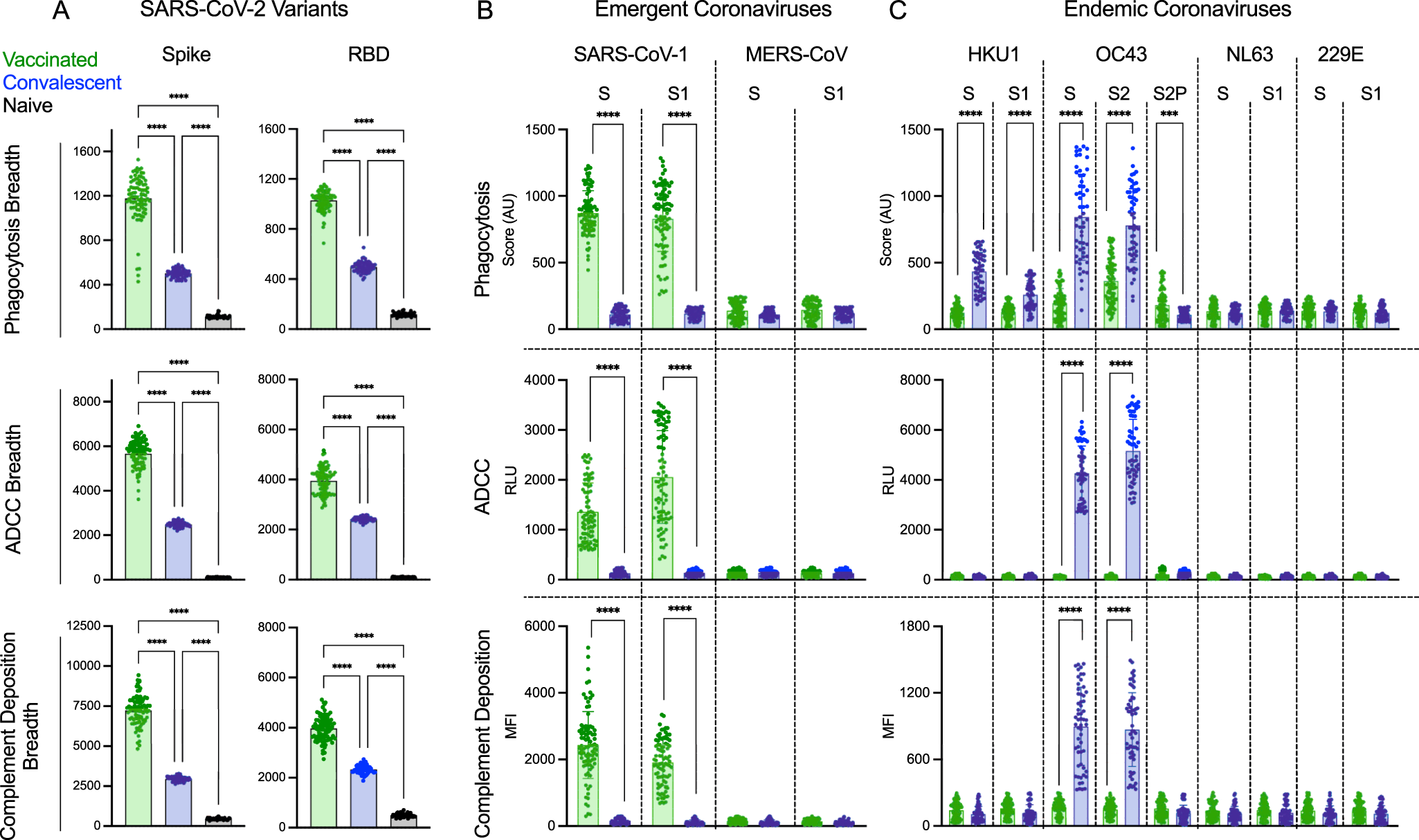Fig. 5: Functional breadth across hCoV is imprinted by vaccination or infection history.