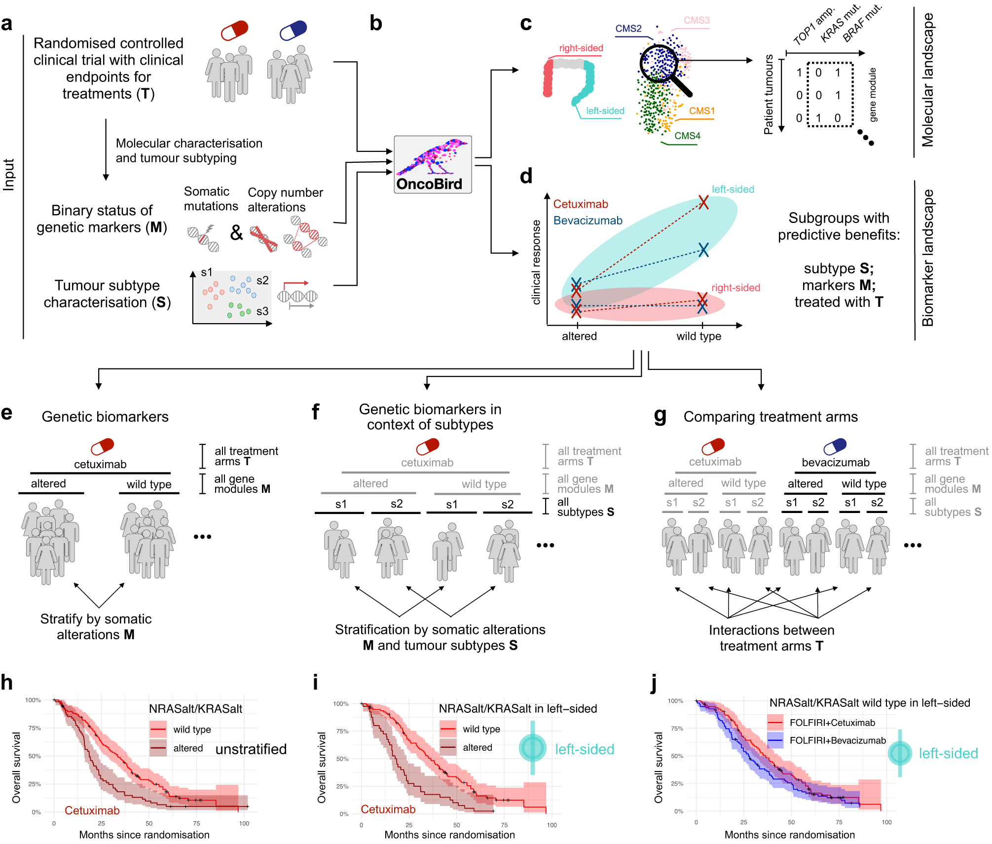 The Oncology Biomarker Discovery framework reveals cetuximab and  bevacizumab response patterns in metastatic colorectal cancer