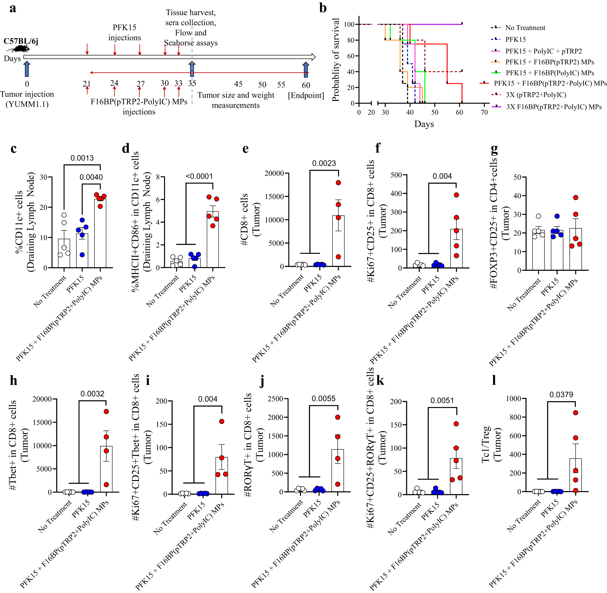 Fig. 3: F16BP(pTRP2+PolyIC) MPs promote a pro-inflammatory response against melanoma, in vivo.