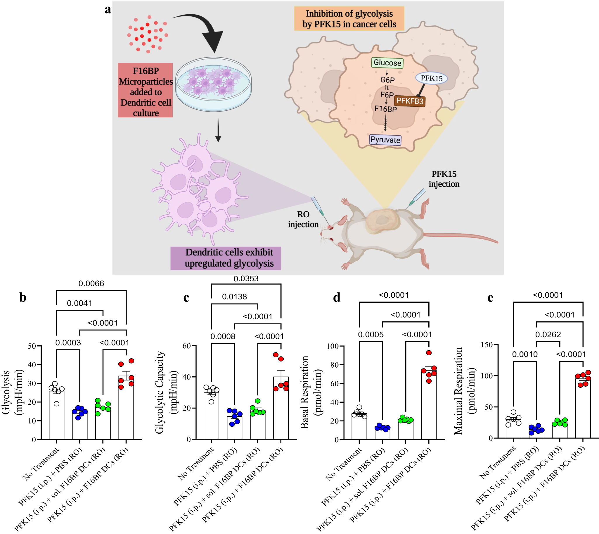 Fig. 4: F16BP MPs rescue DCs in adoptive cellular transfer (ACT) therapy model, in vivo.