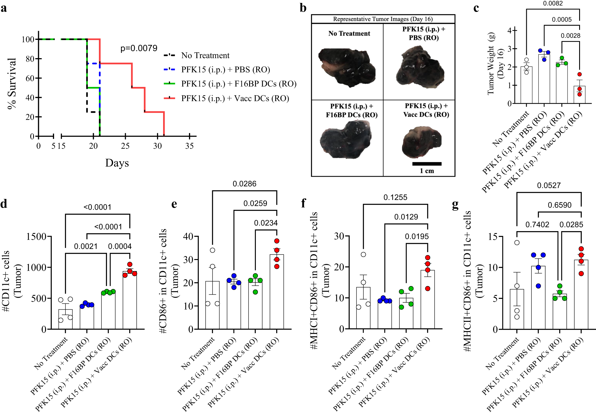 Fig. 5: F16BP MPs-based vaccines are compatible with adoptively transferred DCs and improve survival in melanoma.