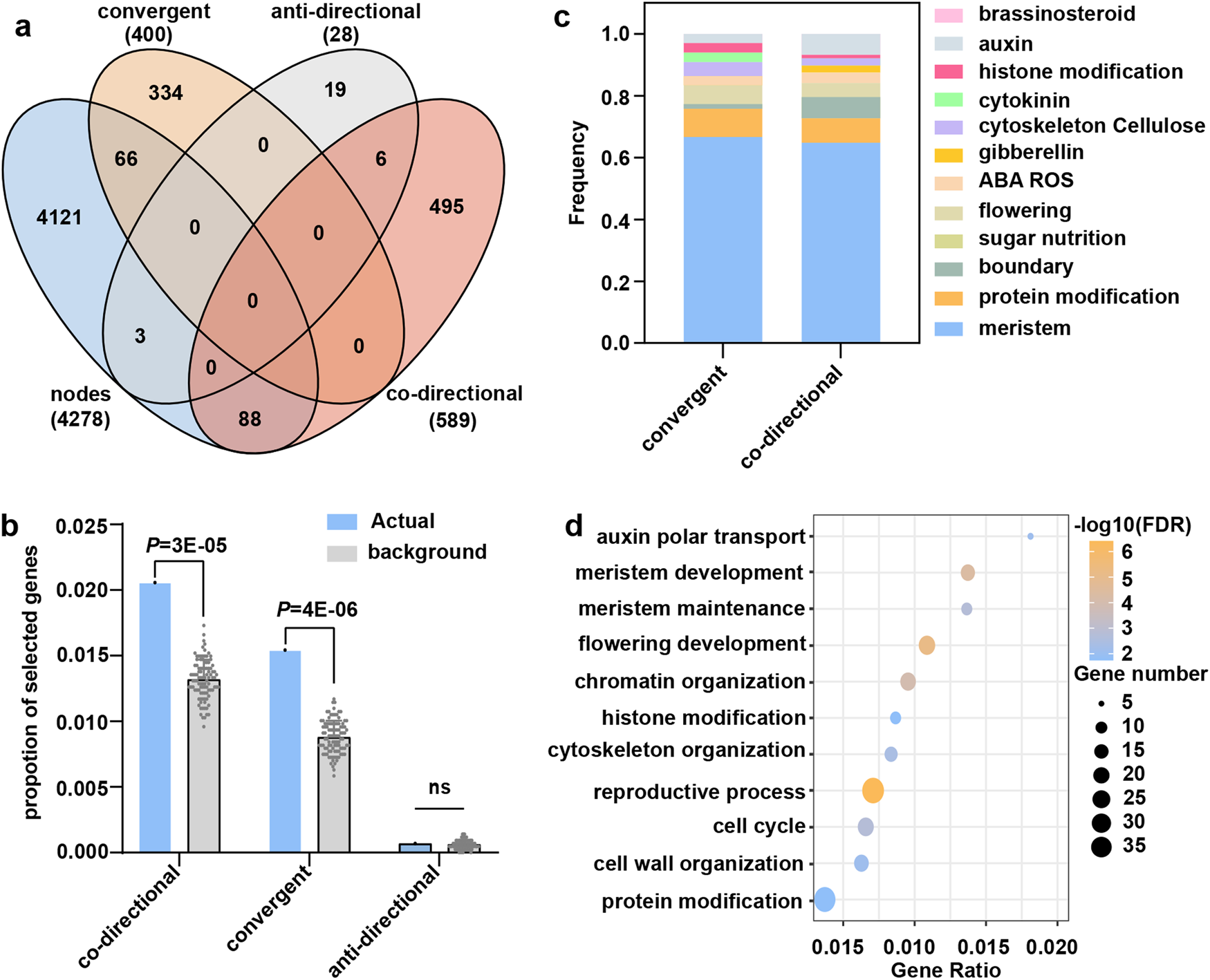 Fig. 6: Co-directional selection on TBN pathways between FHGs and MHGs during modern maize hybrid breeding.