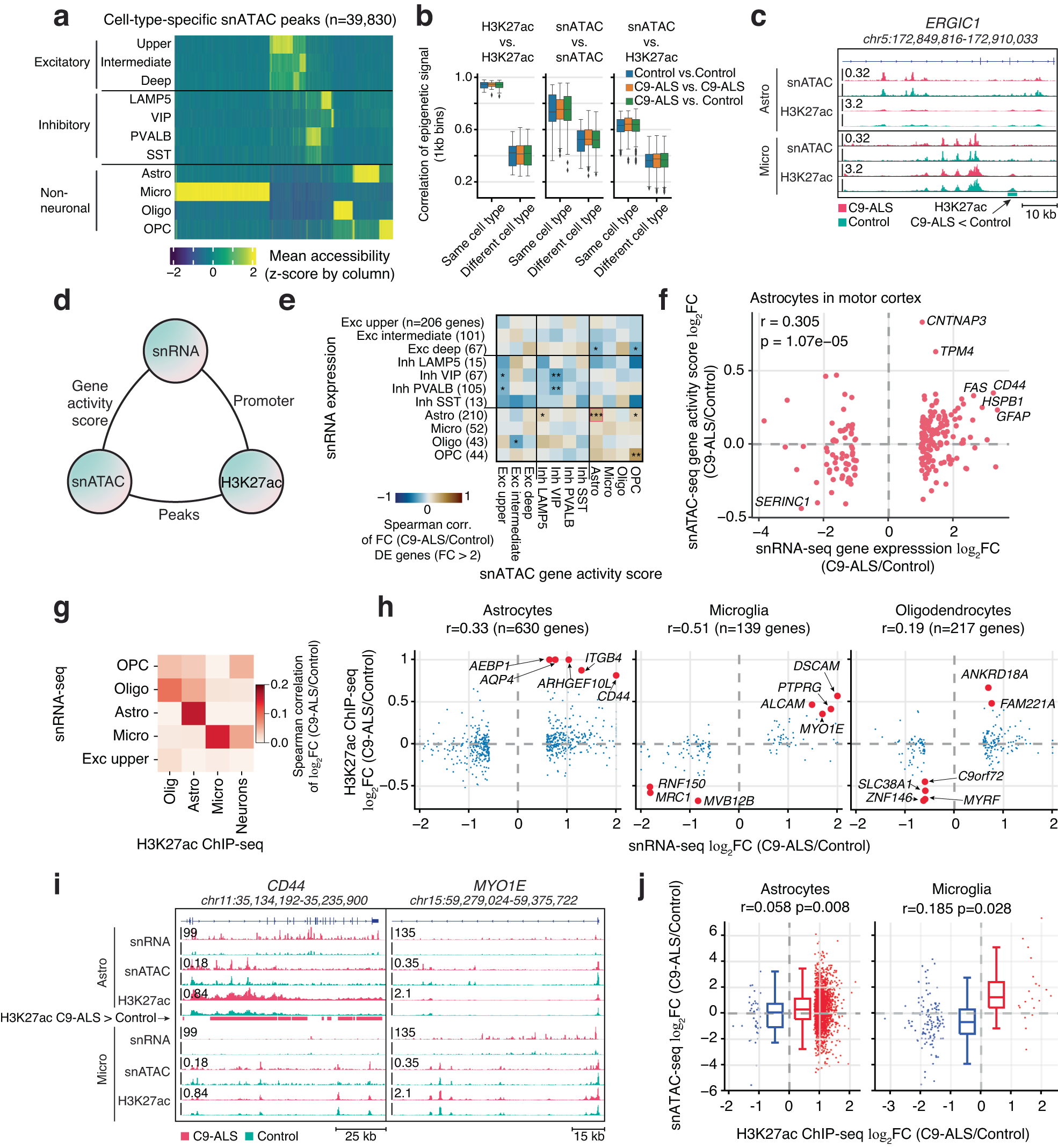 Fig. 5: Epigenetic alterations correlate with transcriptome dysregulation in C9-ALS.