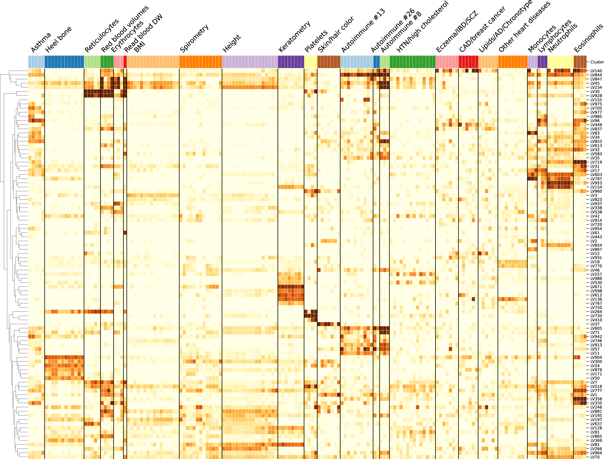Fig. 7: Cluster-specific and general transcriptional processes associated with different diseases.