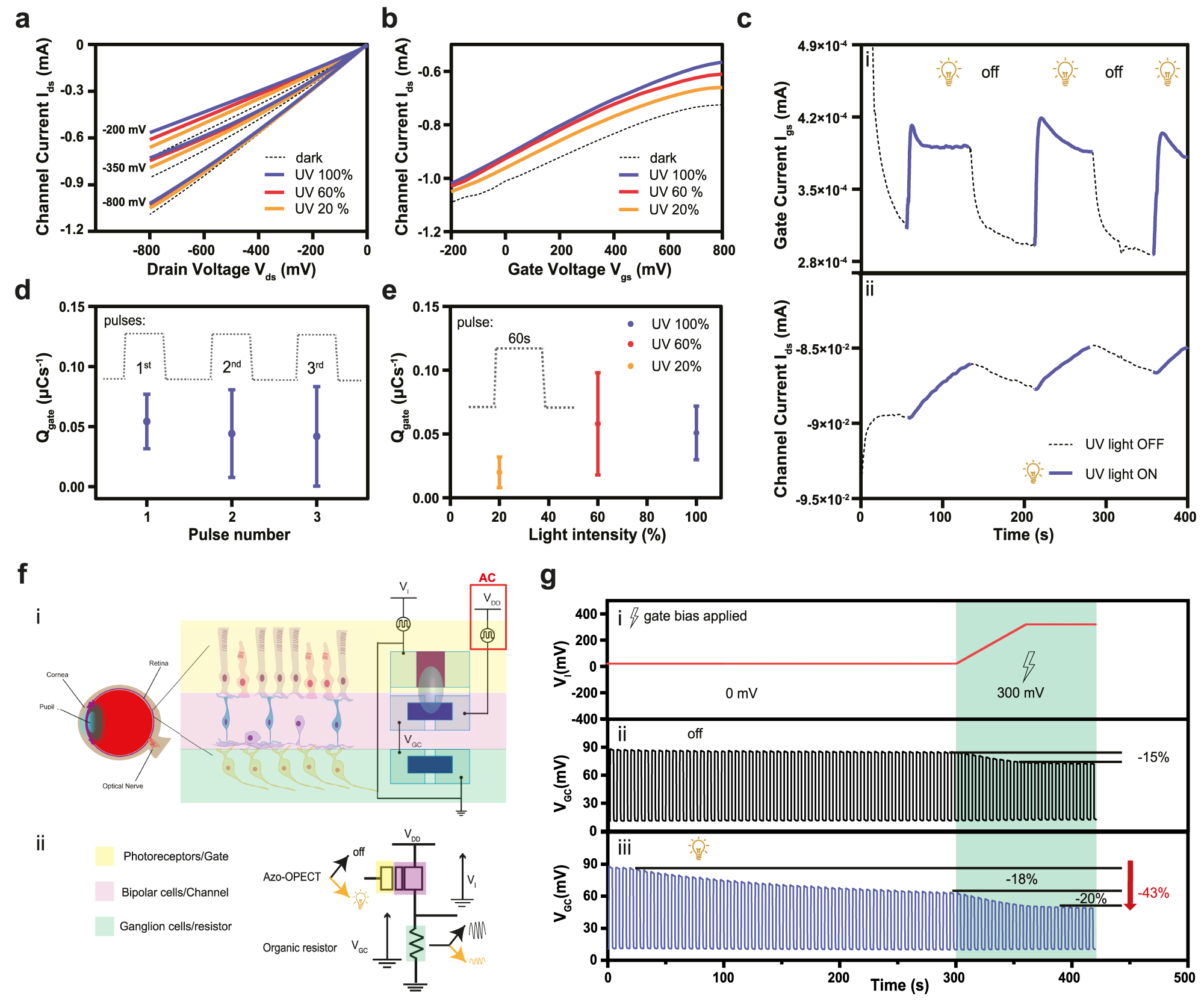 Fig. 2: OPECT operation under light conditions and retina visual pathway mimicking.