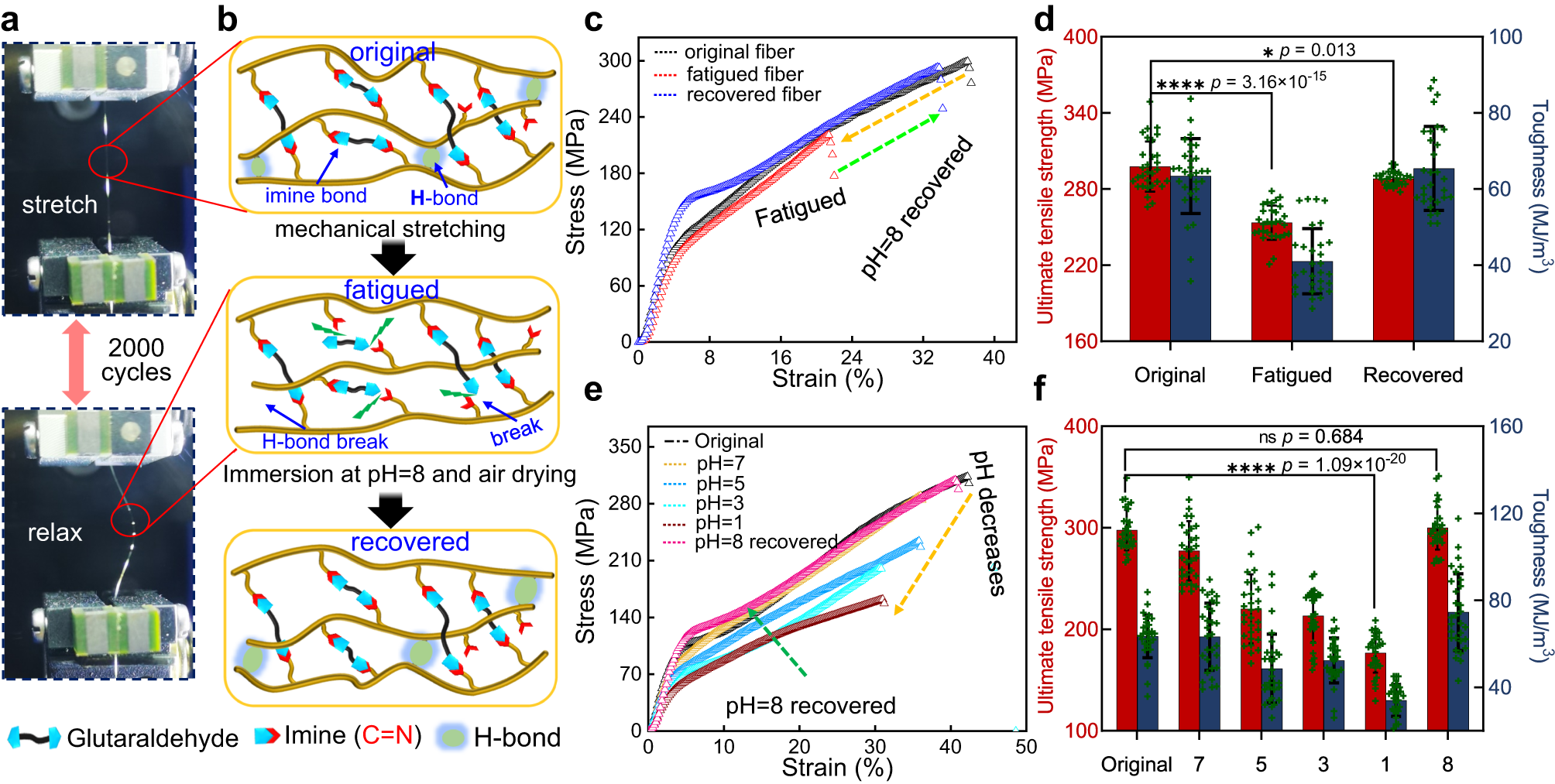 Fig. 3: Recoverable mechanical properties of the DIF fibers regulated by dynamic imine network.