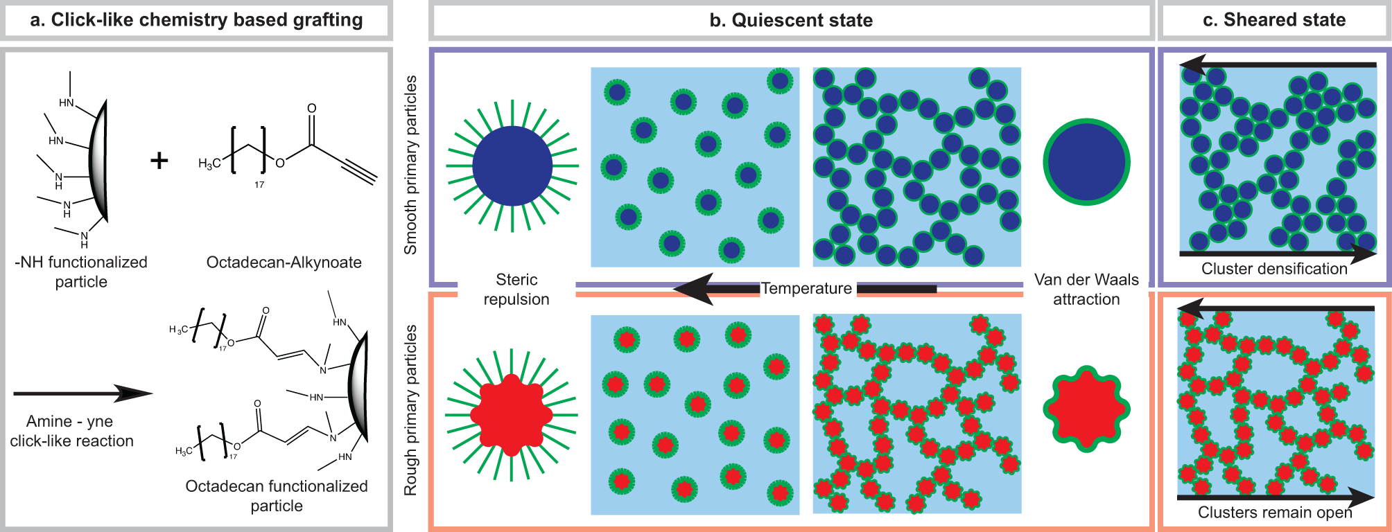 Fig. 1: Synthesis approach and gelation mechanism of our thermoresponsive colloidal gel with smooth and rough primary particles.
