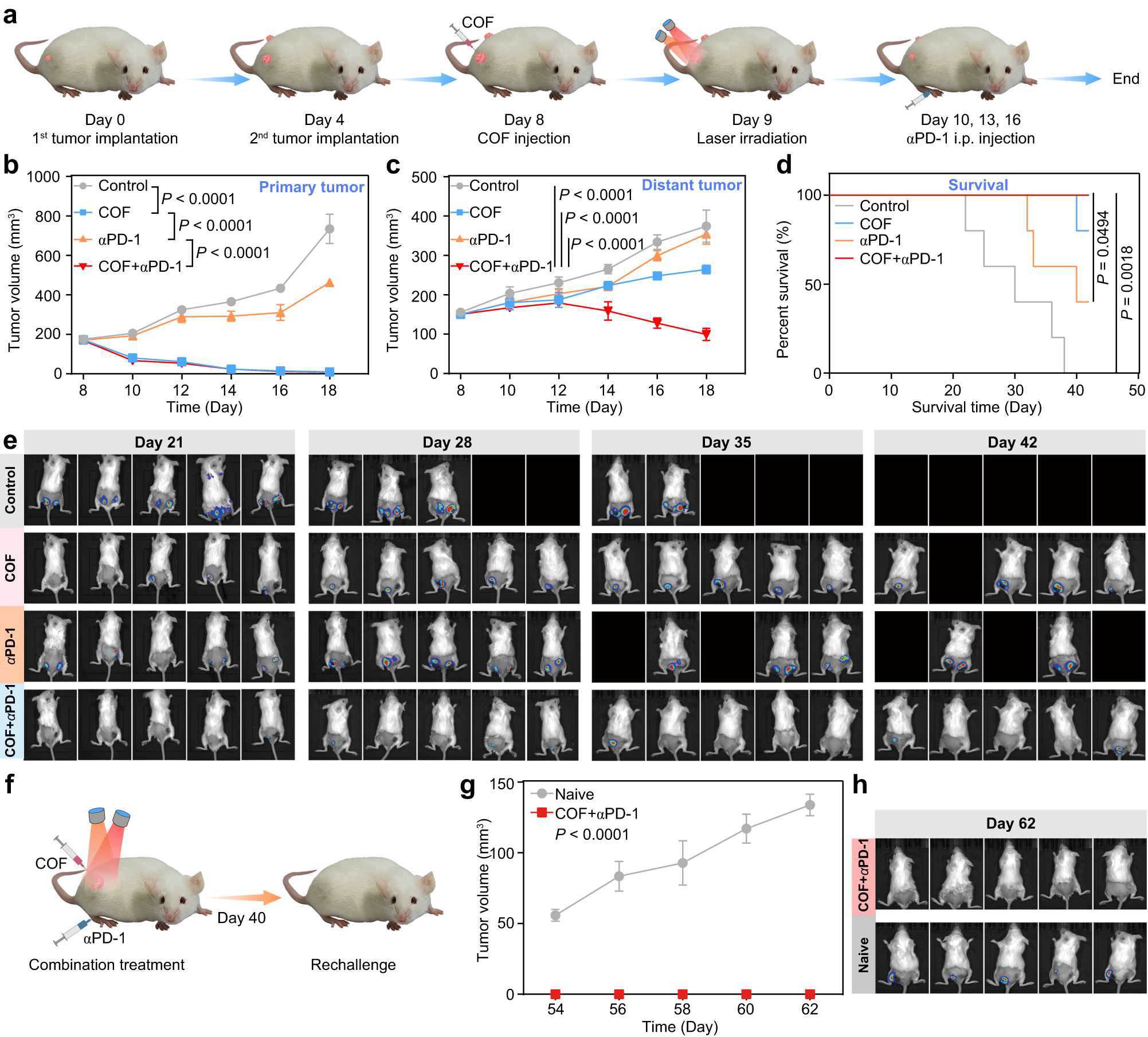 Fig. 8: The synergistic effect of COF-919 + αPD-1.