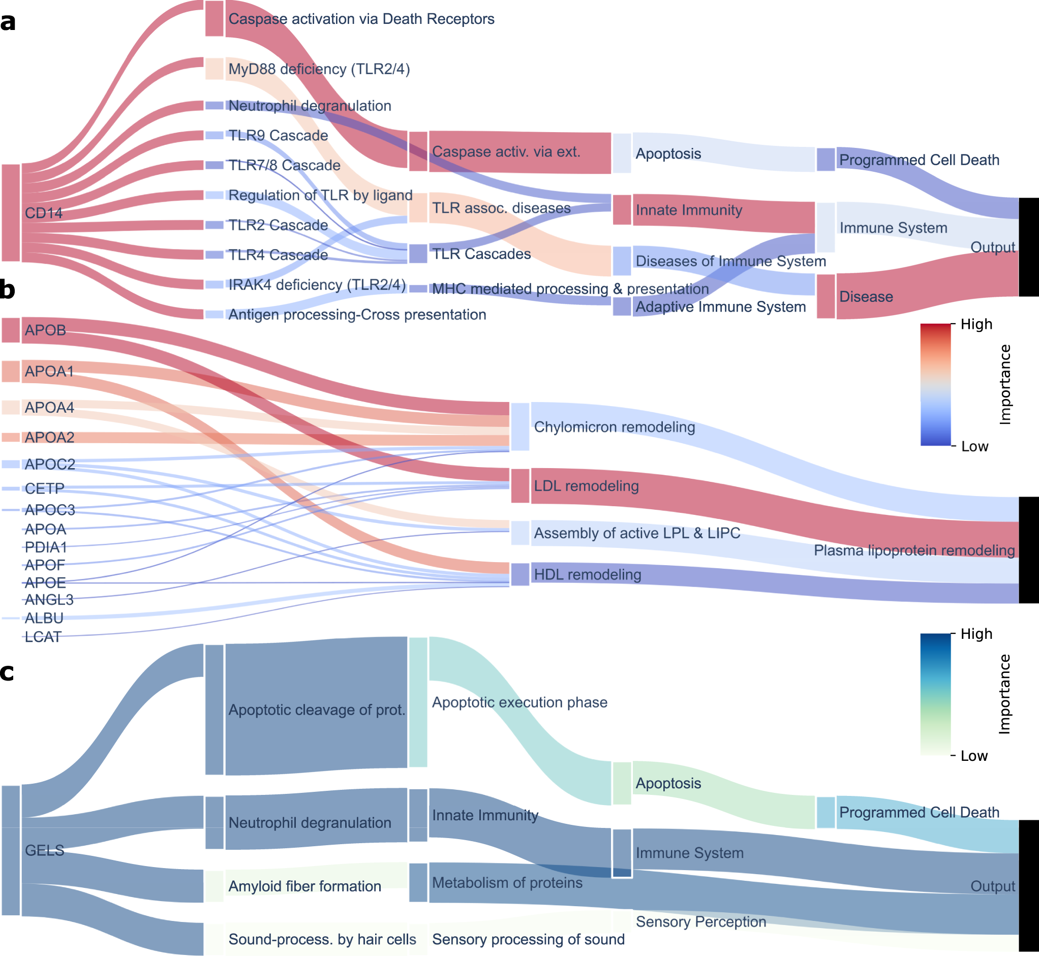 Fig. 5: Custom pathway-analysis utilizing the interpreted BINNs.