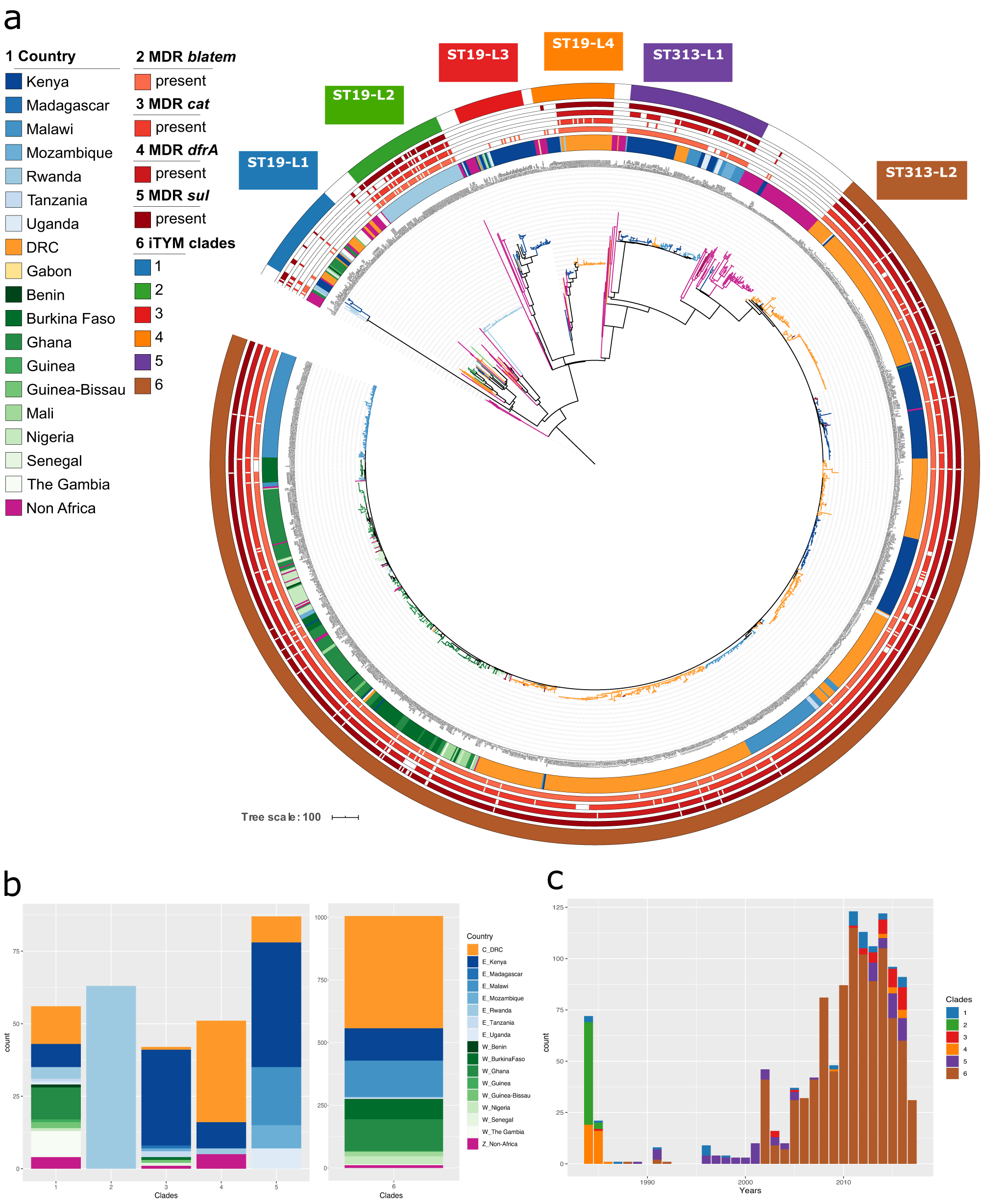 Fig. 1: The distribution of invasive S. Typhimurium in Africa.