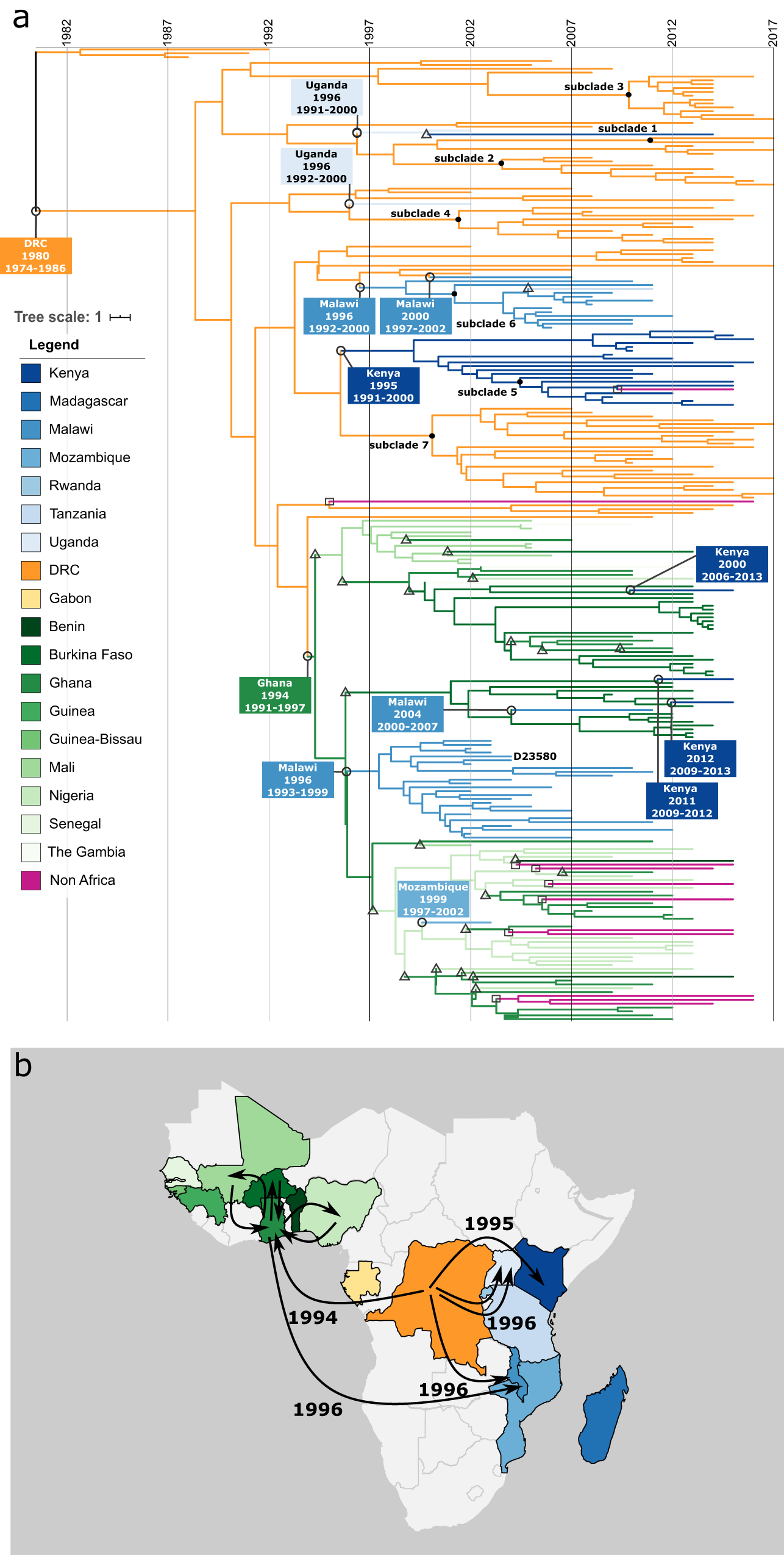 Fig. 3: Estimated spread of ST313-L2 across sub-Saharan Africa.