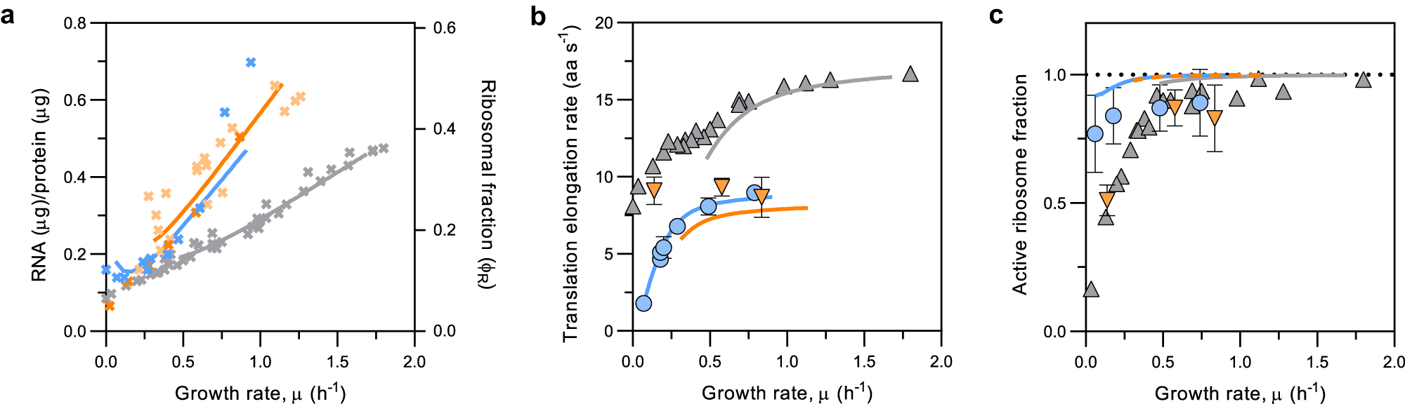 Fig. 4: Growth-rate dependency of ribosomal fraction, translation elongation rate, and active ribosome fraction of C. glutamicum differs from that of E. coli cultivated at 30 °C or 37 °C.