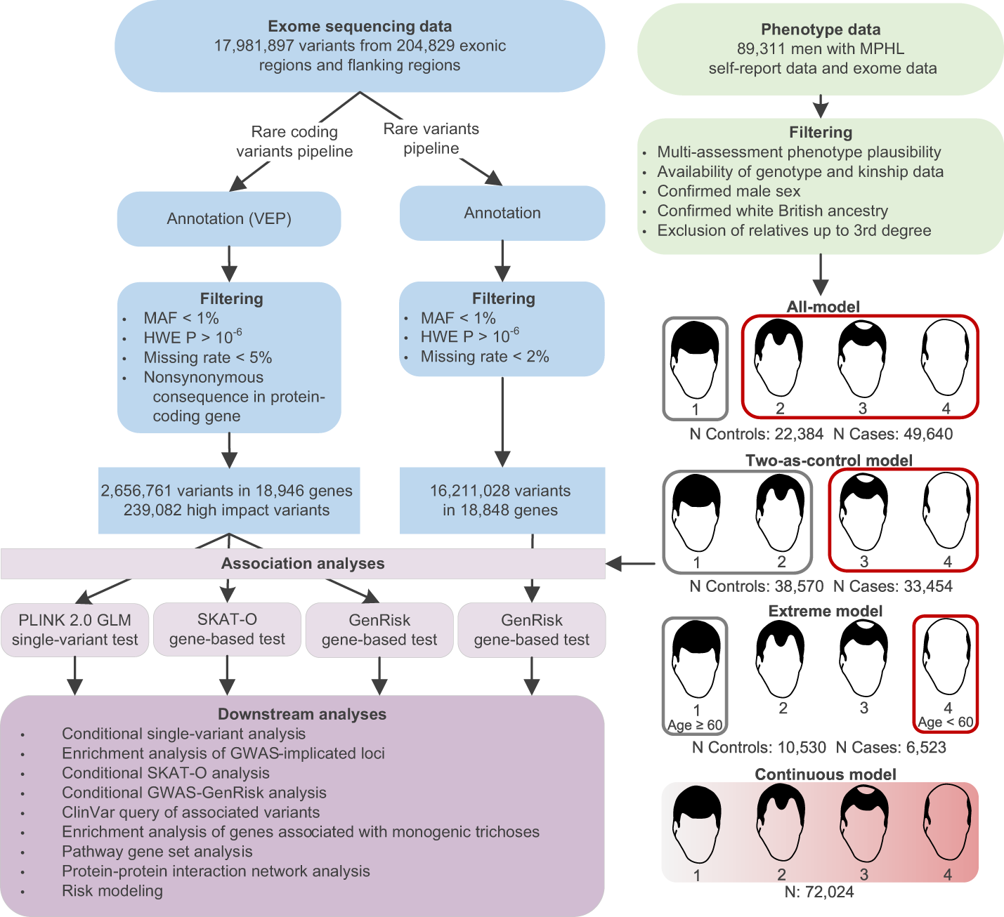 The Dual Career Family: A Variant Pattern and Social Change