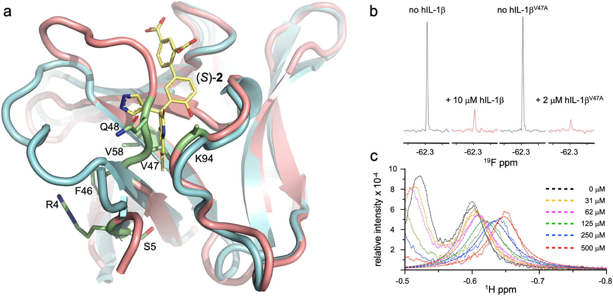 Fig. 6: Characterization of hIL-1βV47A.