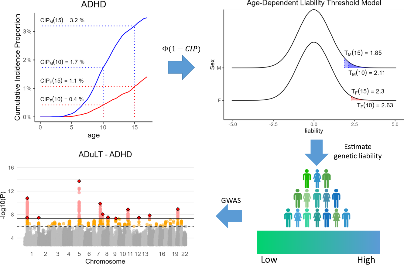 ADuLT An efficient and robust time-to-event GWAS Nature Communications