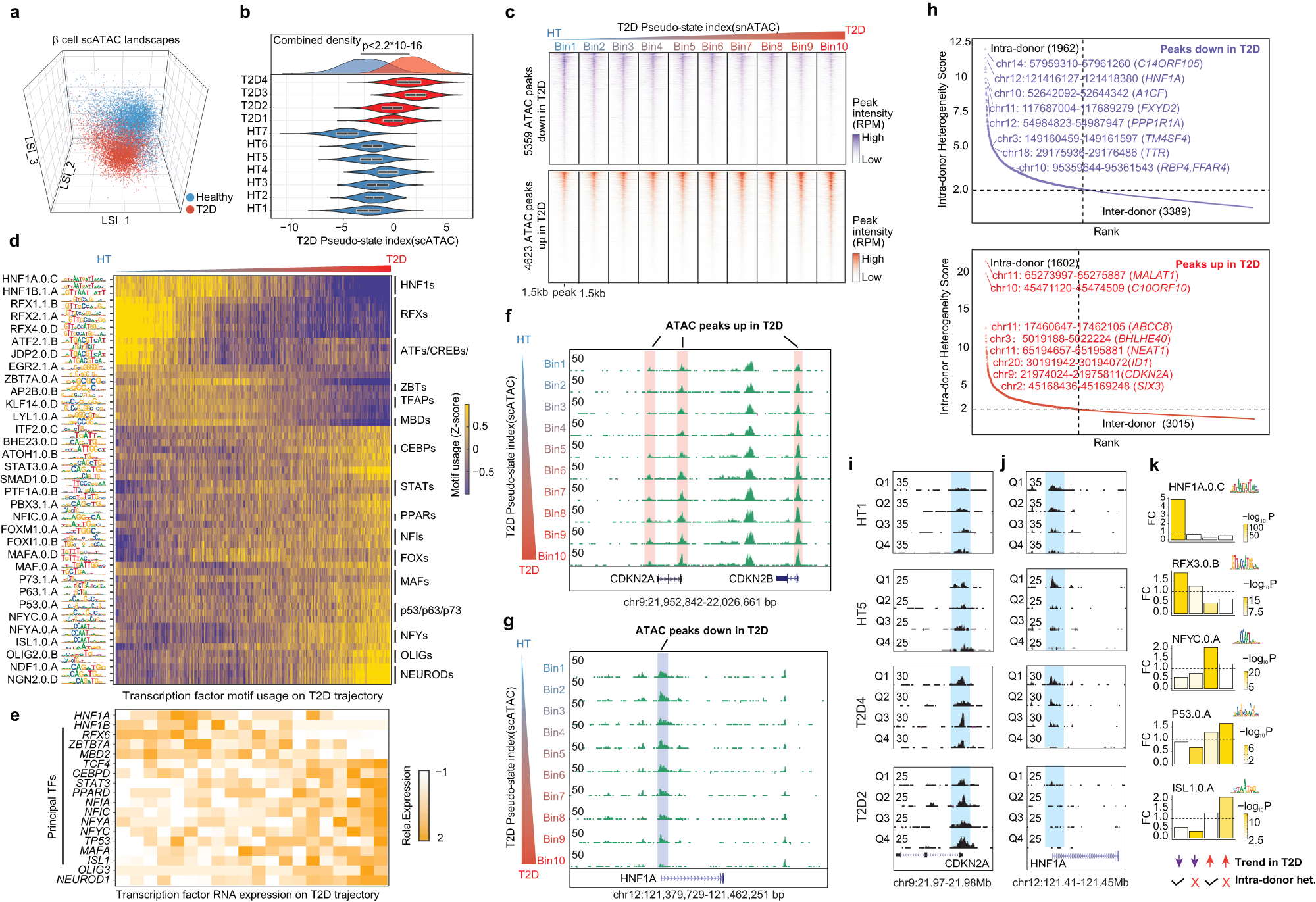 Fig. 5: ATAC-RePACT dissects the T2D-associated epigenomic heterogeneity in β-cells.