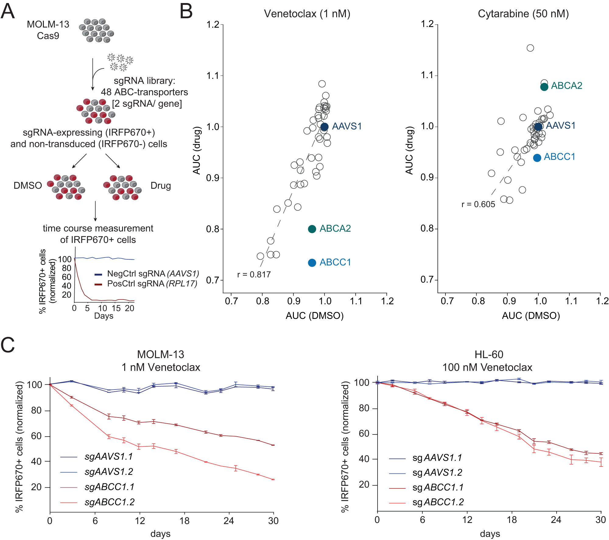 Fig. 1: ABCC1 modulates Venetoclax sensitivity in AML cells.