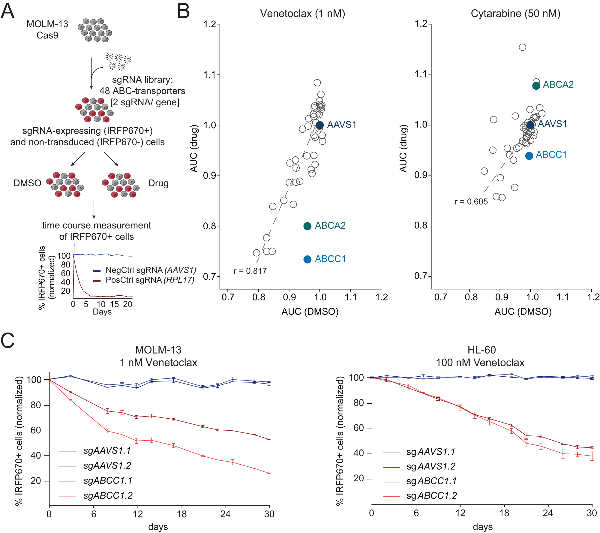 ABCC1 and glutathione metabolism limit the efficacy of BCL-2 inhibitors in  acute myeloid leukemia | Nature Communications