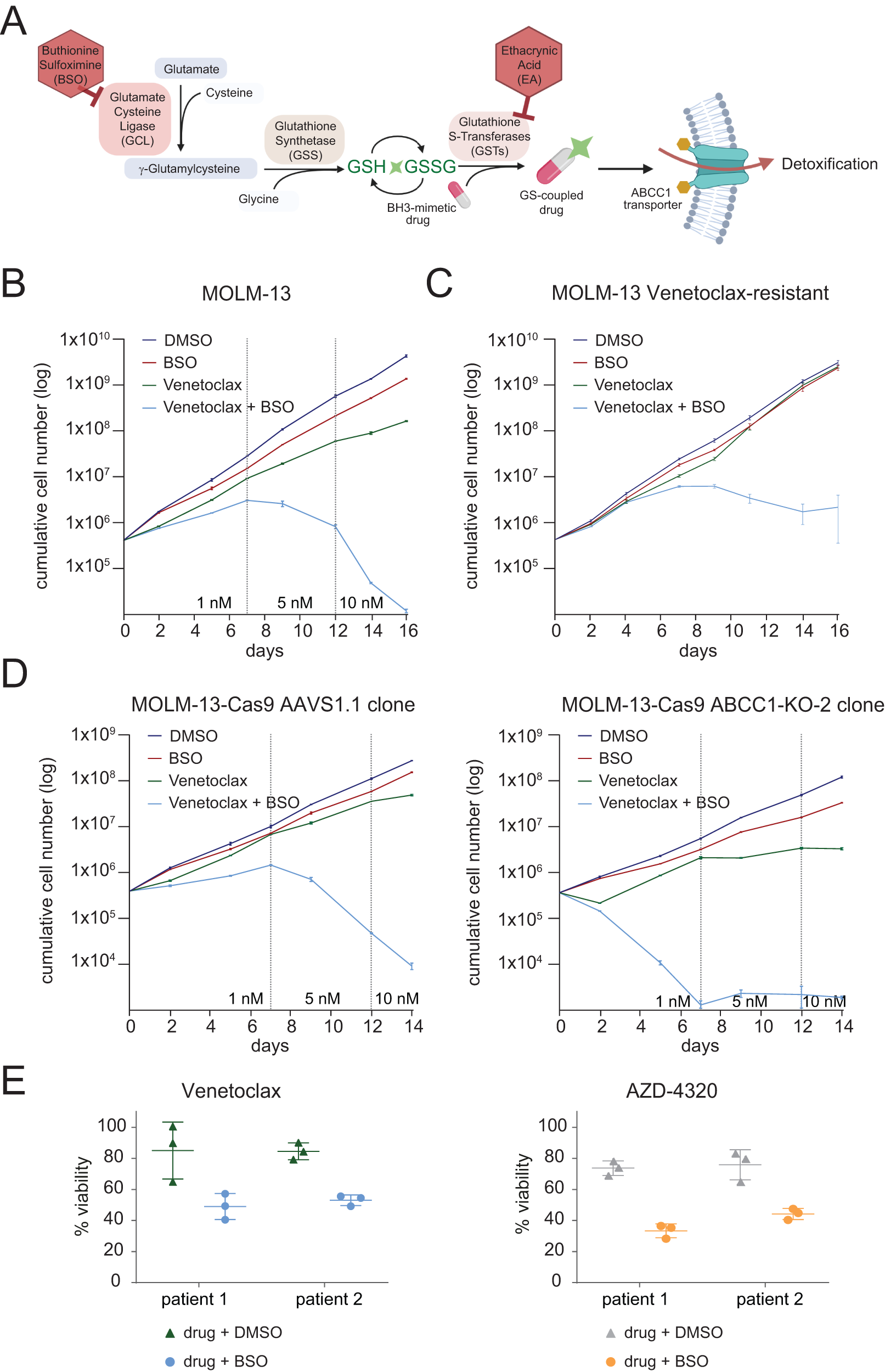 Fig. 7: Glutathione metabolism modulates the sensitivity to BH3 mimetics.