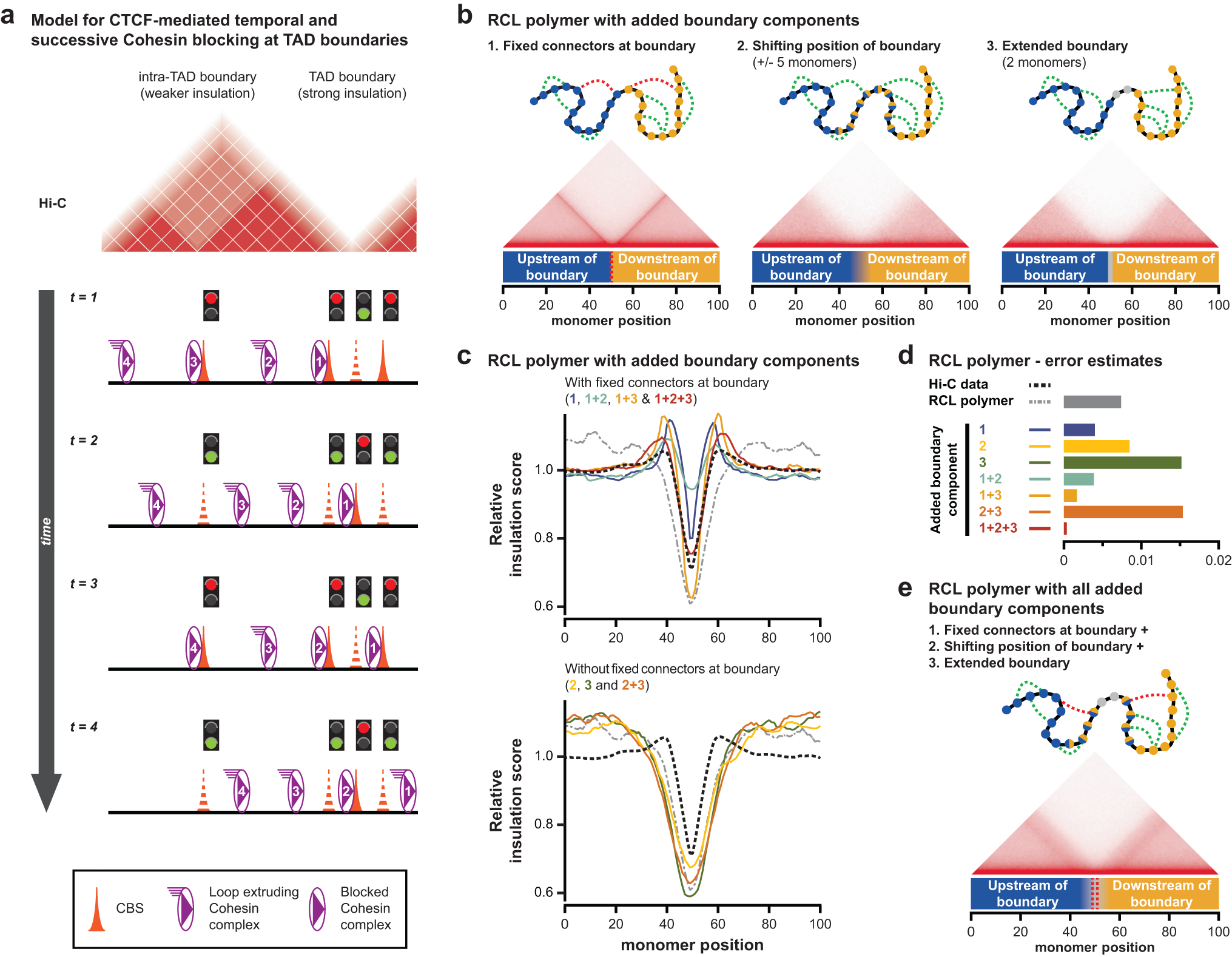 Fig. 7: A modified RCL polymer model that incorporates dynamic and clustered CTCF binding improves the simulation of TAD boundary structure and function.