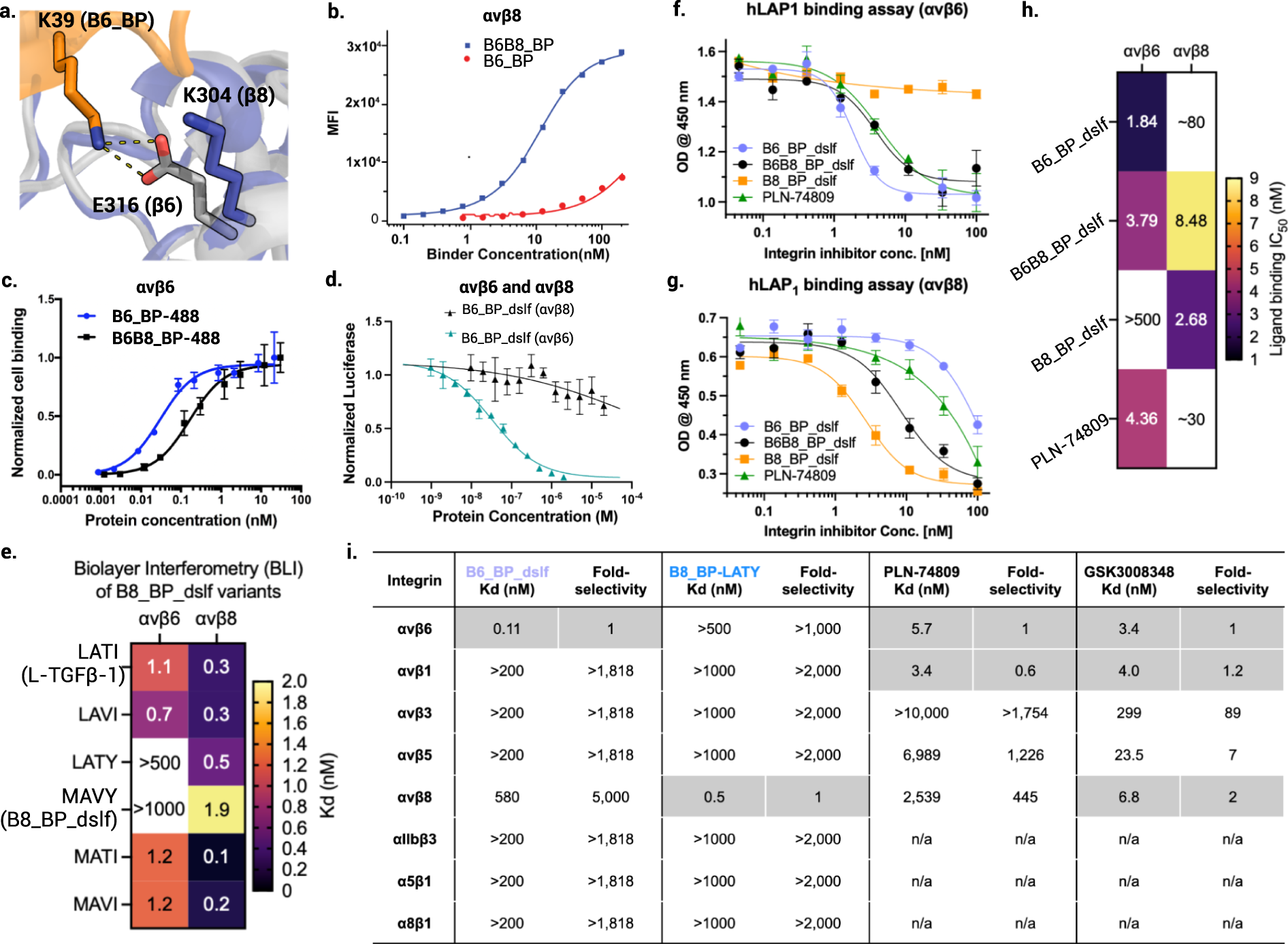 Fig. 2: Selectivity of designed binders for αvβ6 and αvβ8.
