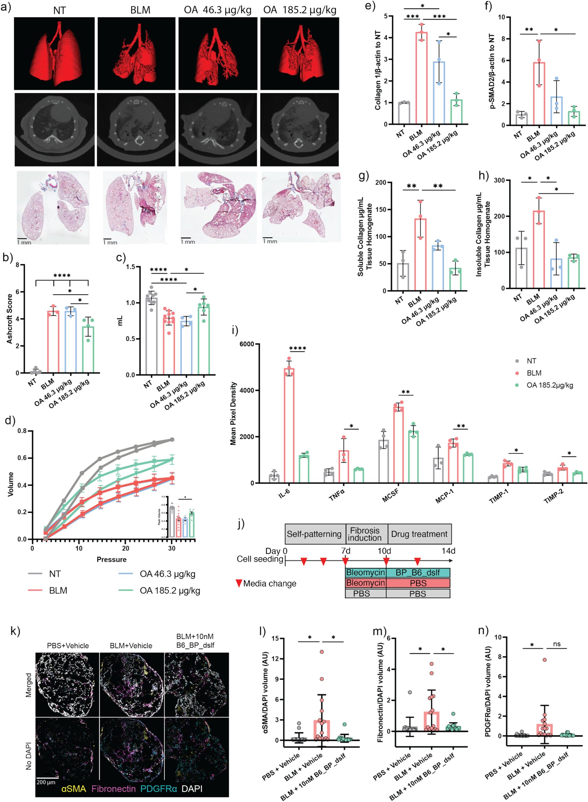 Fig. 5: In vivo efficacy of OA-administered B6_BP_dslf in bleomycin-induced IPF.