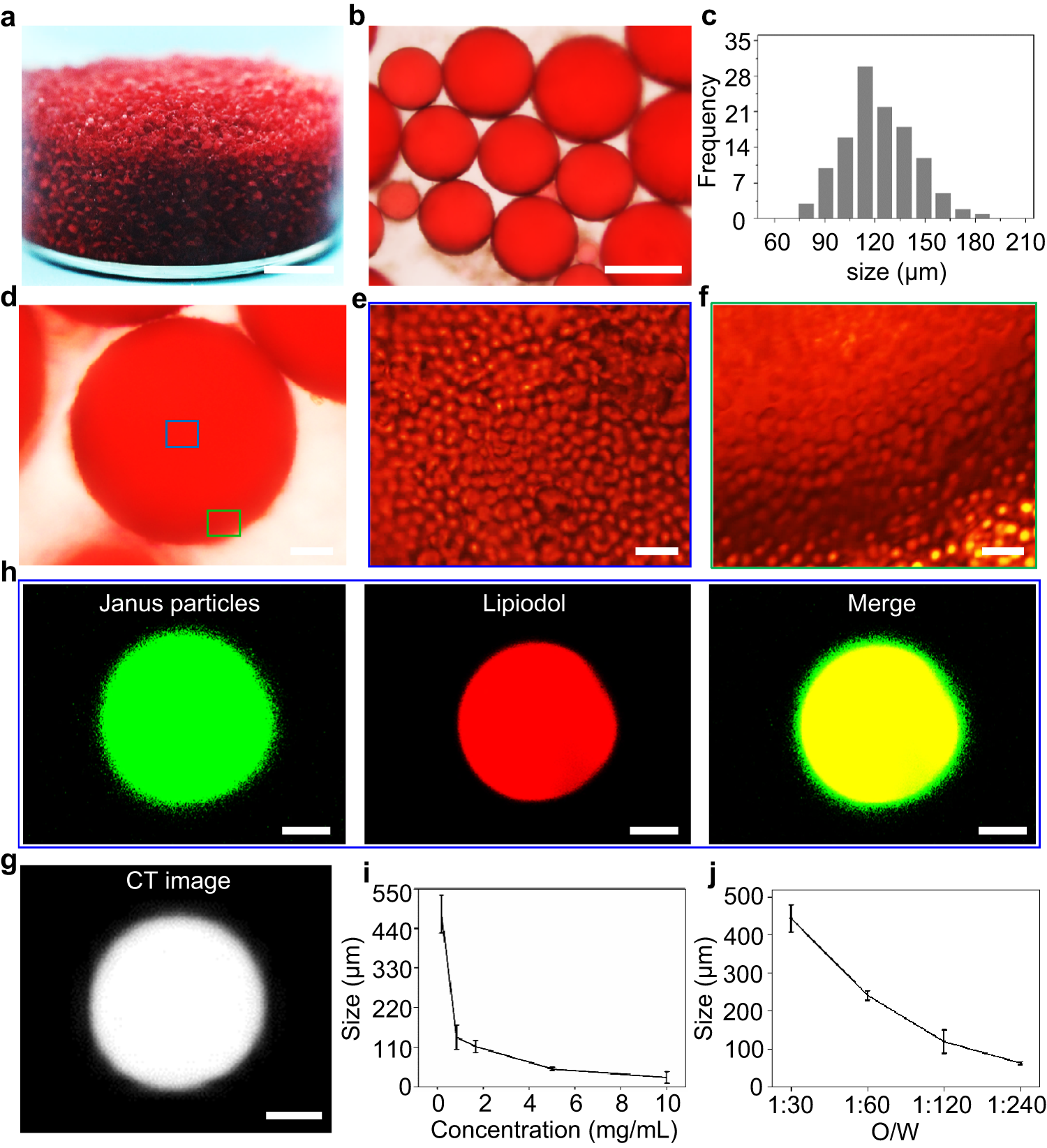 Fig. 2: Large-scale fabrication of Janus particle-engineered structural lipiodol droplets.