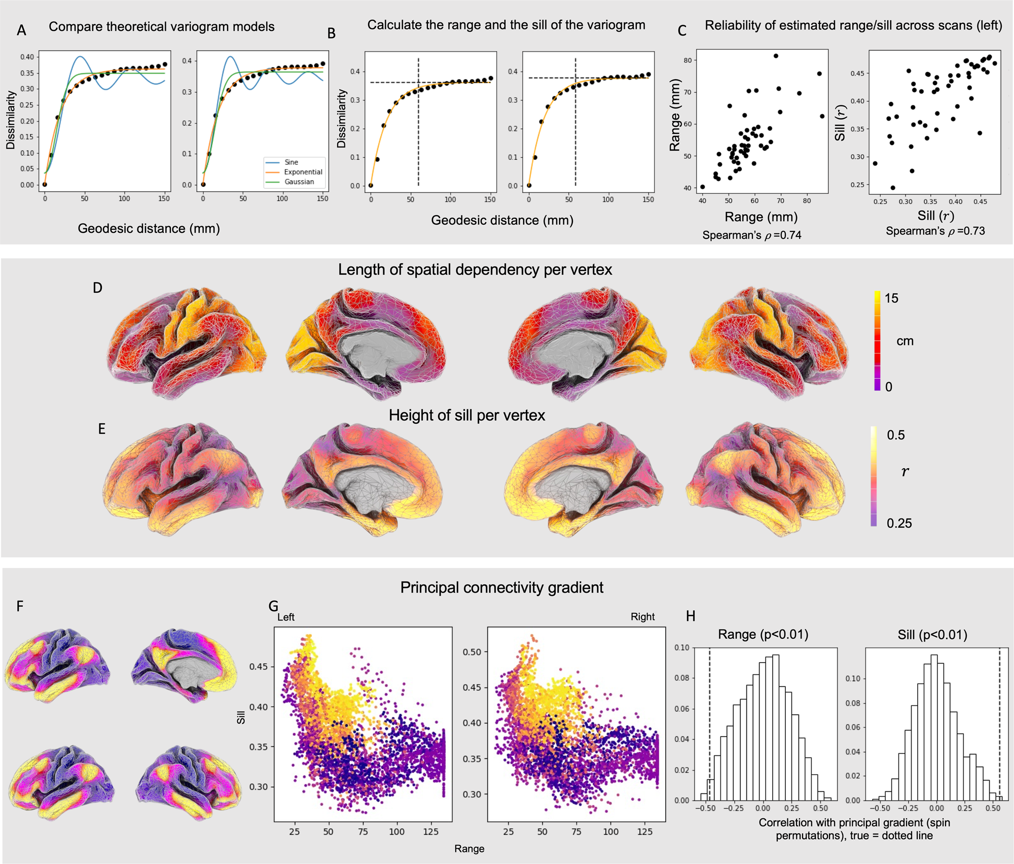 Fig. 2: Distribution of the sill and effective distance of variograms across the cortex.