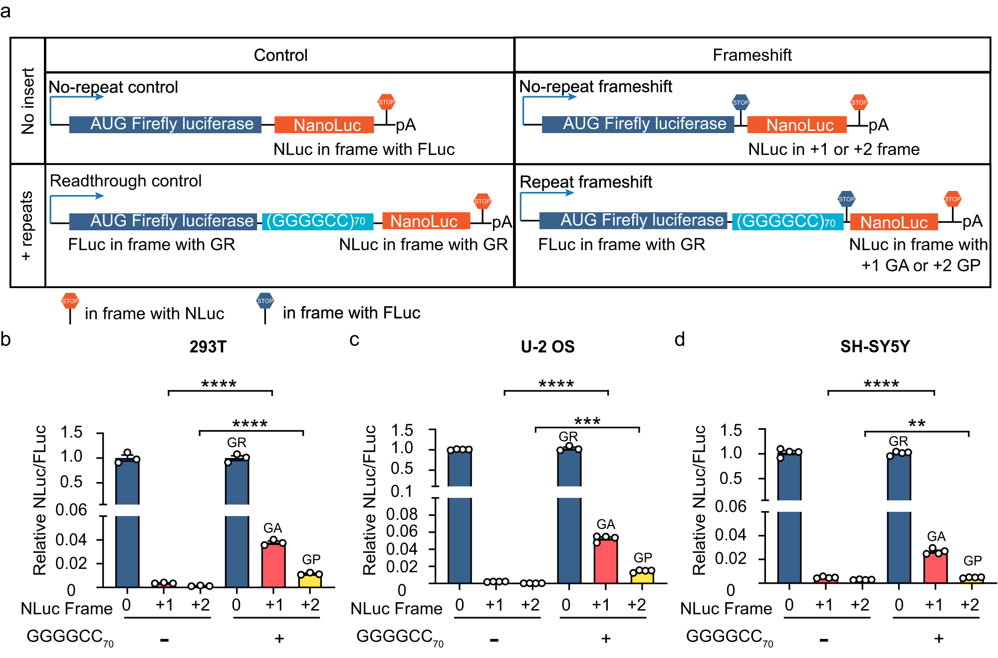 Fig. 3: Luciferase assay to measure proteins produced from frameshifting.