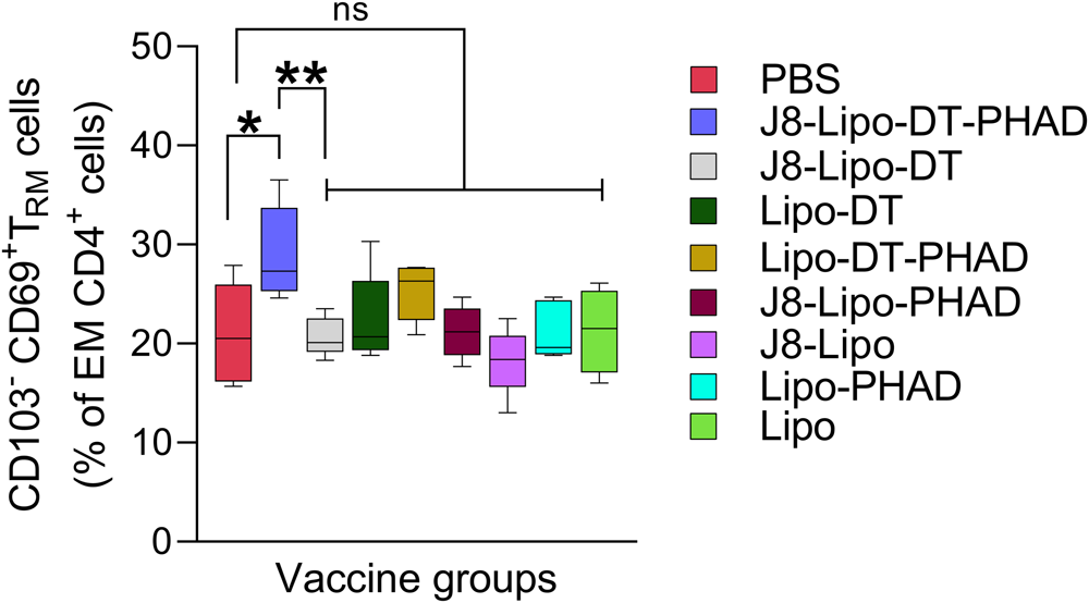 Fig. 7: Tissue-resident memory (TRM) cells in the lungs of vaccinated mice.