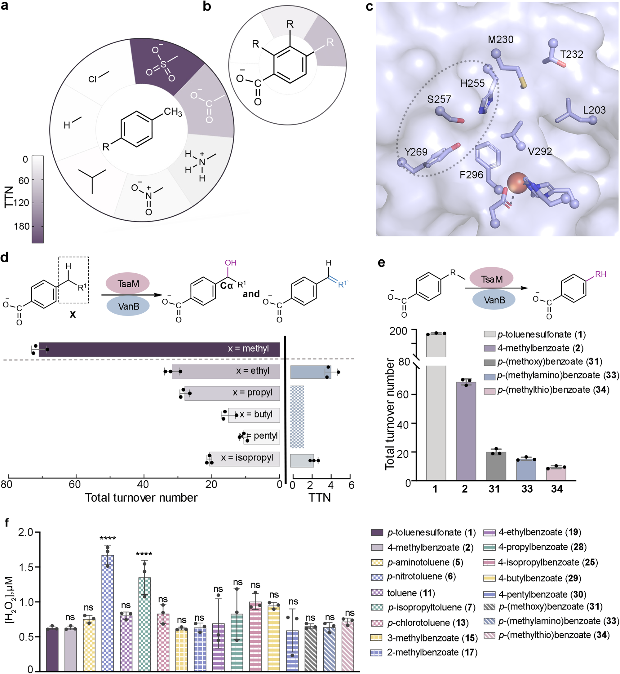Fig. 3: TsaM demonstrates a preference for oxygenating the methyl group or benzylic carbon of substrates that contain a polar functional group.