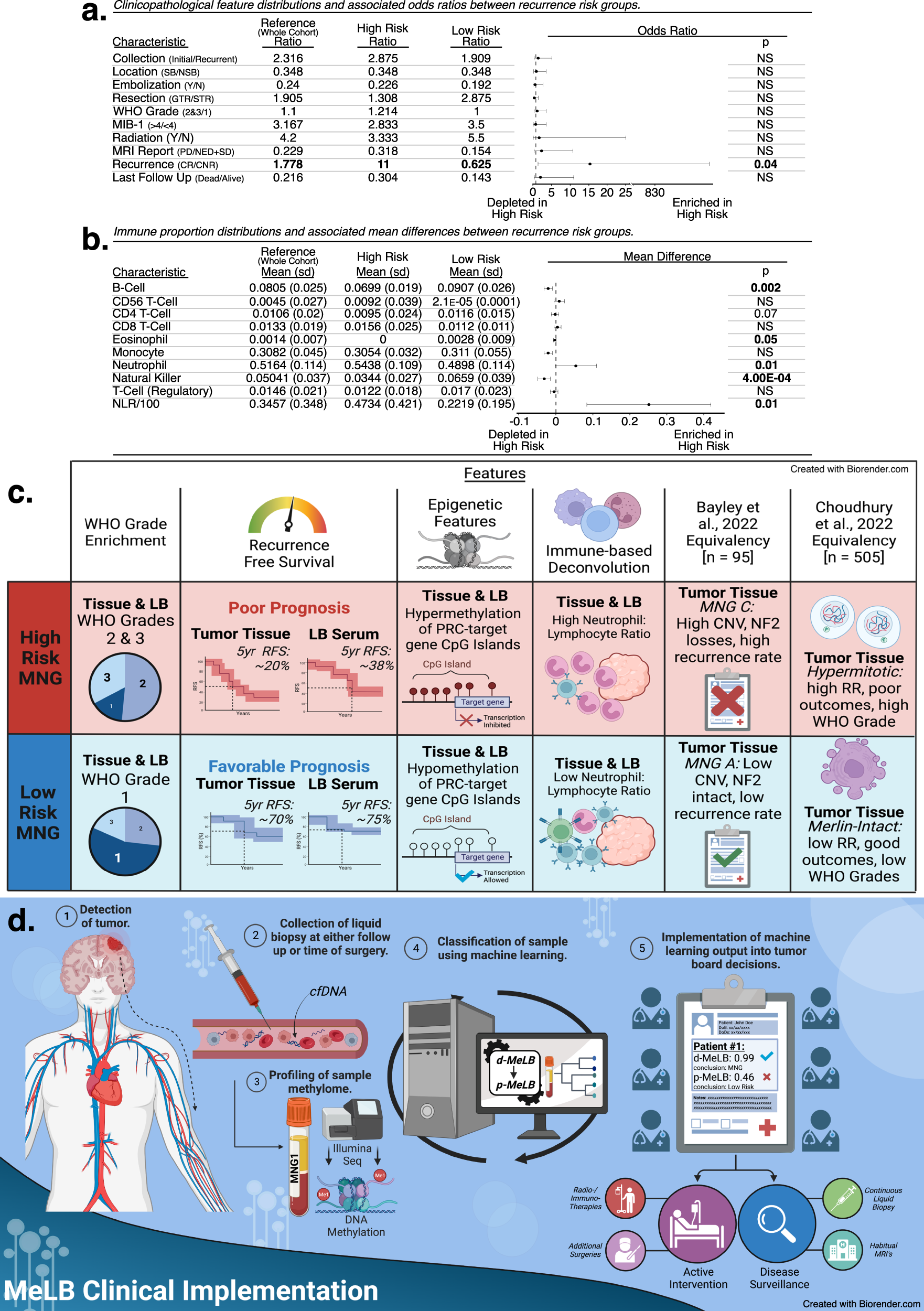 Fig. 3: Clinicopathological and molecular characterization of serum from patients with meningioma predicted to present distinct recurrence risk outcomes through p-MeLB.