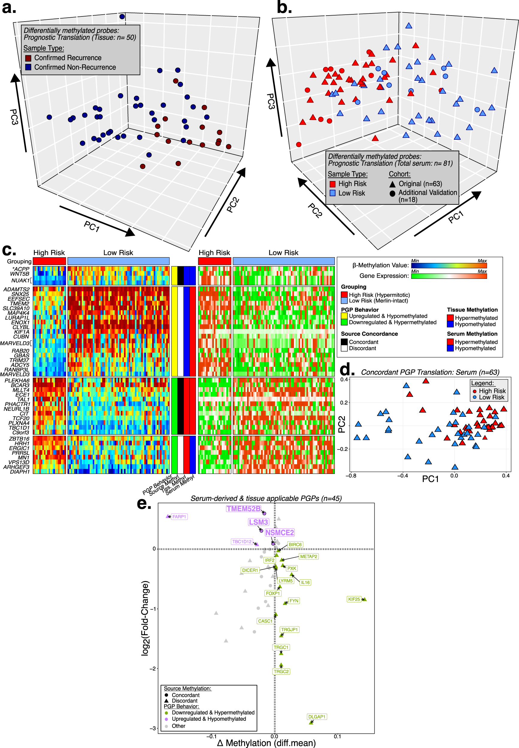 Fig. 4: Characterization and functional analysis (in silico) of recurrent-risk differentially methylated probes.