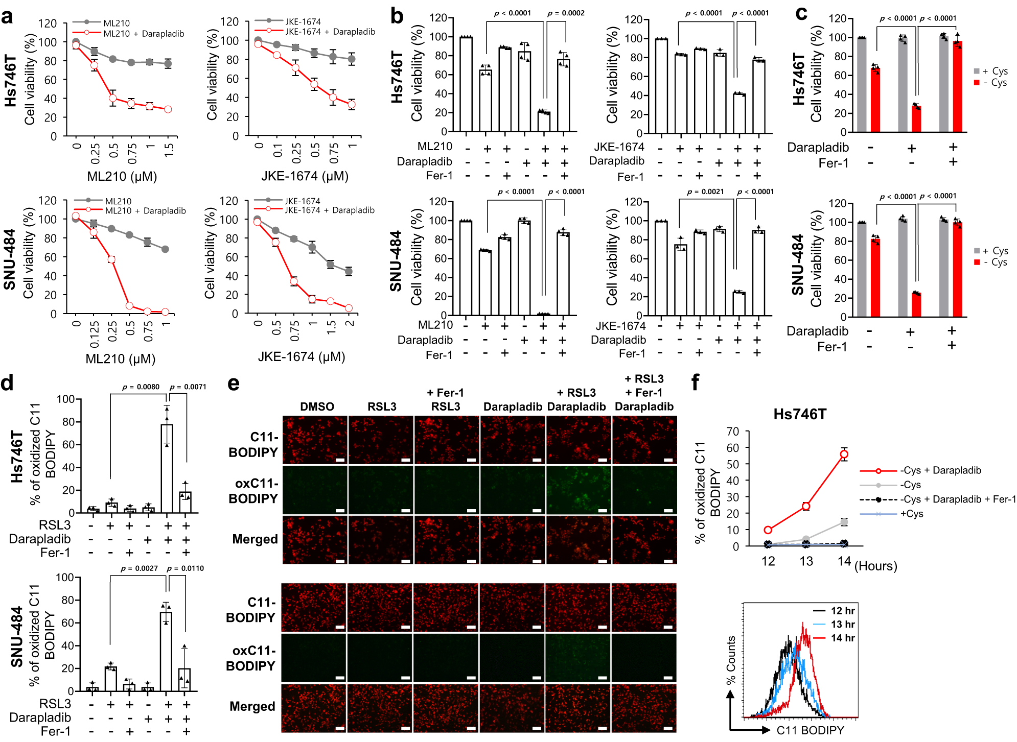 Fig. 2: Darapladib sensitises cells to ferroptosis induced by GPX4 inhibition or cysteine deprivation.