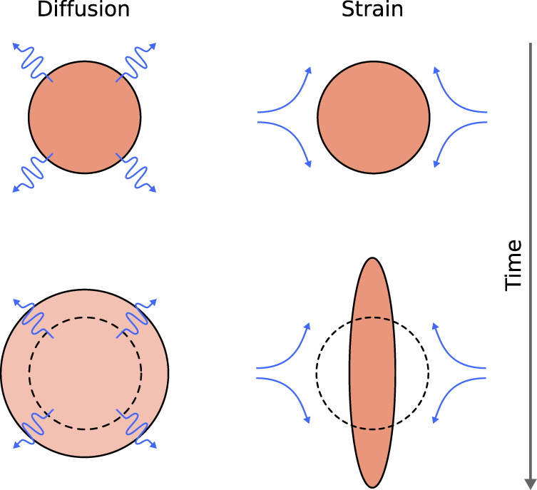 Fig. 3: Strain and diffusion effects (blue lines) on an initially circular Lagrangian patch (salmon color).