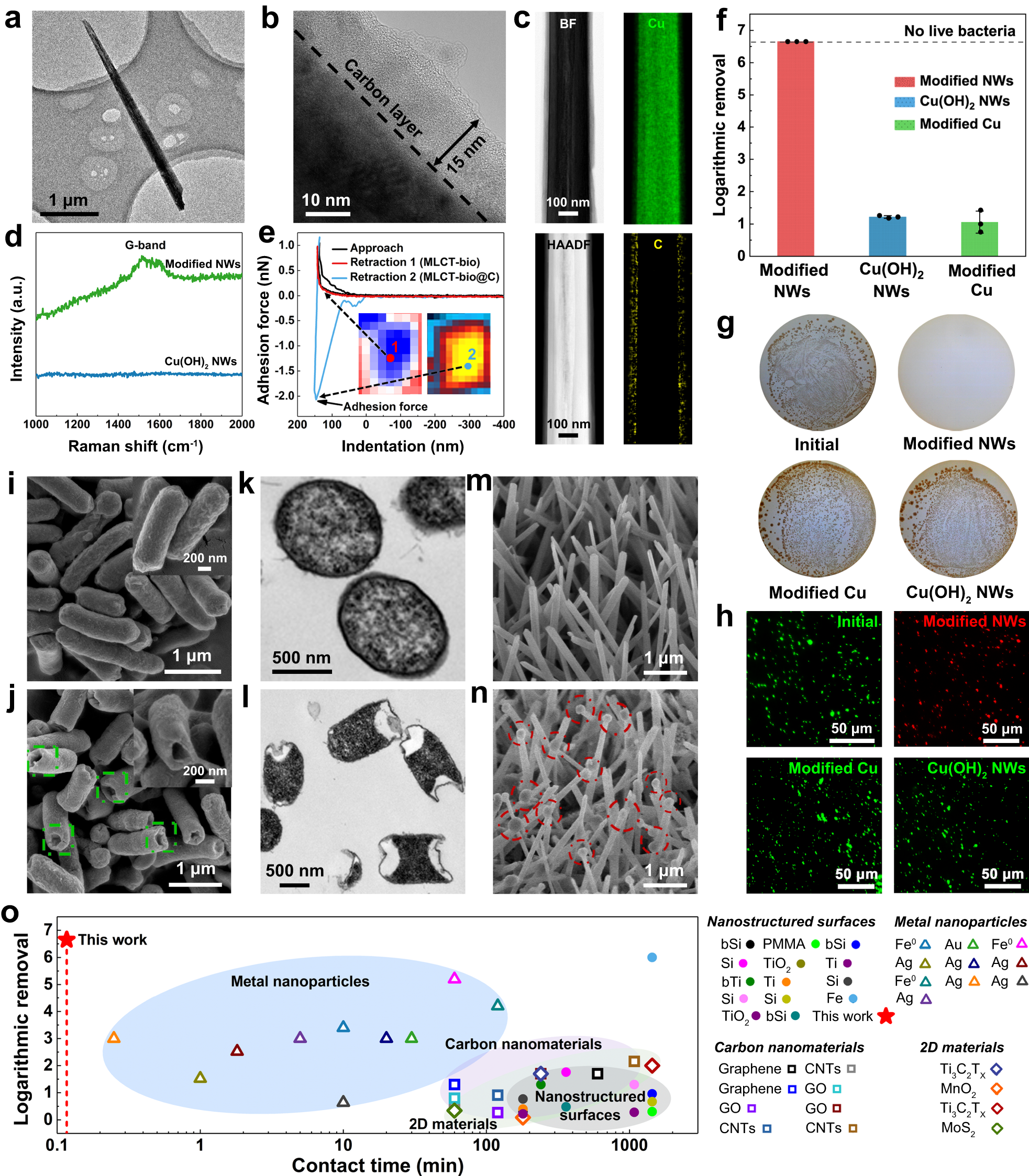 Fig. 2: Bactericidal performance analysis.