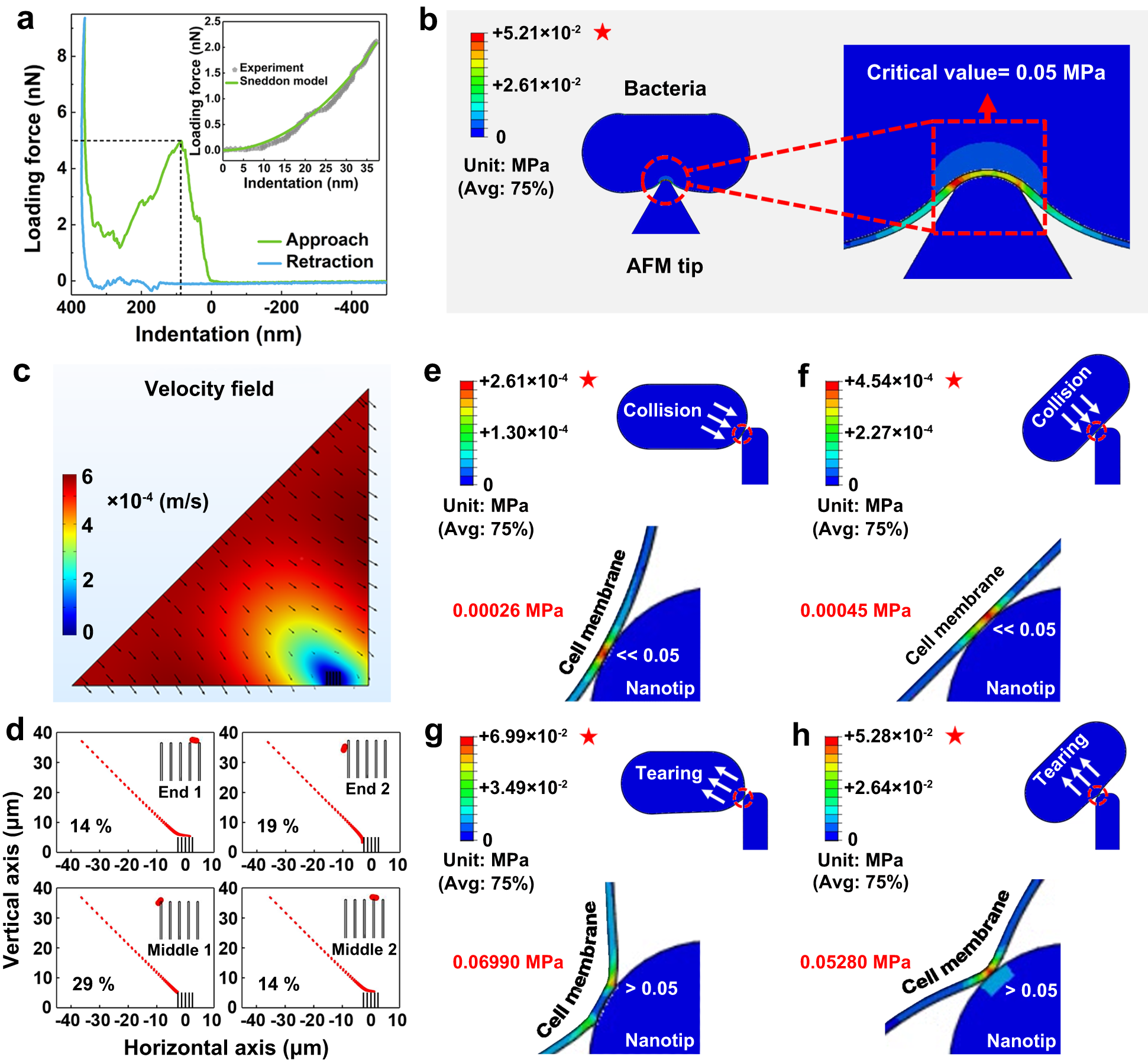 Fig. 3: Cell rupture by the hydrodynamic-bactericidal effect.