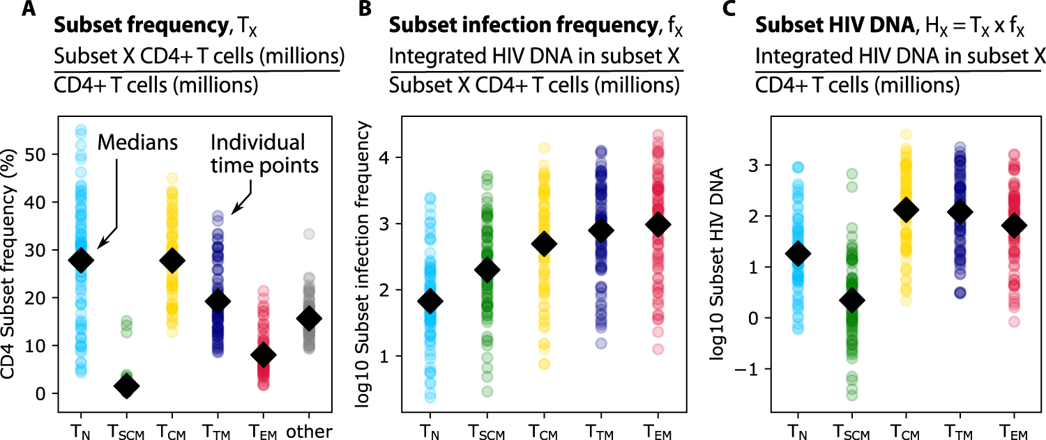 Fig. 1: Definitions and representation of study data.