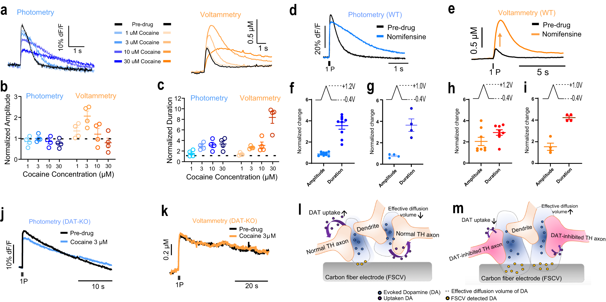 Fig. 2: DAT inhibitors do not increase dopamine release.