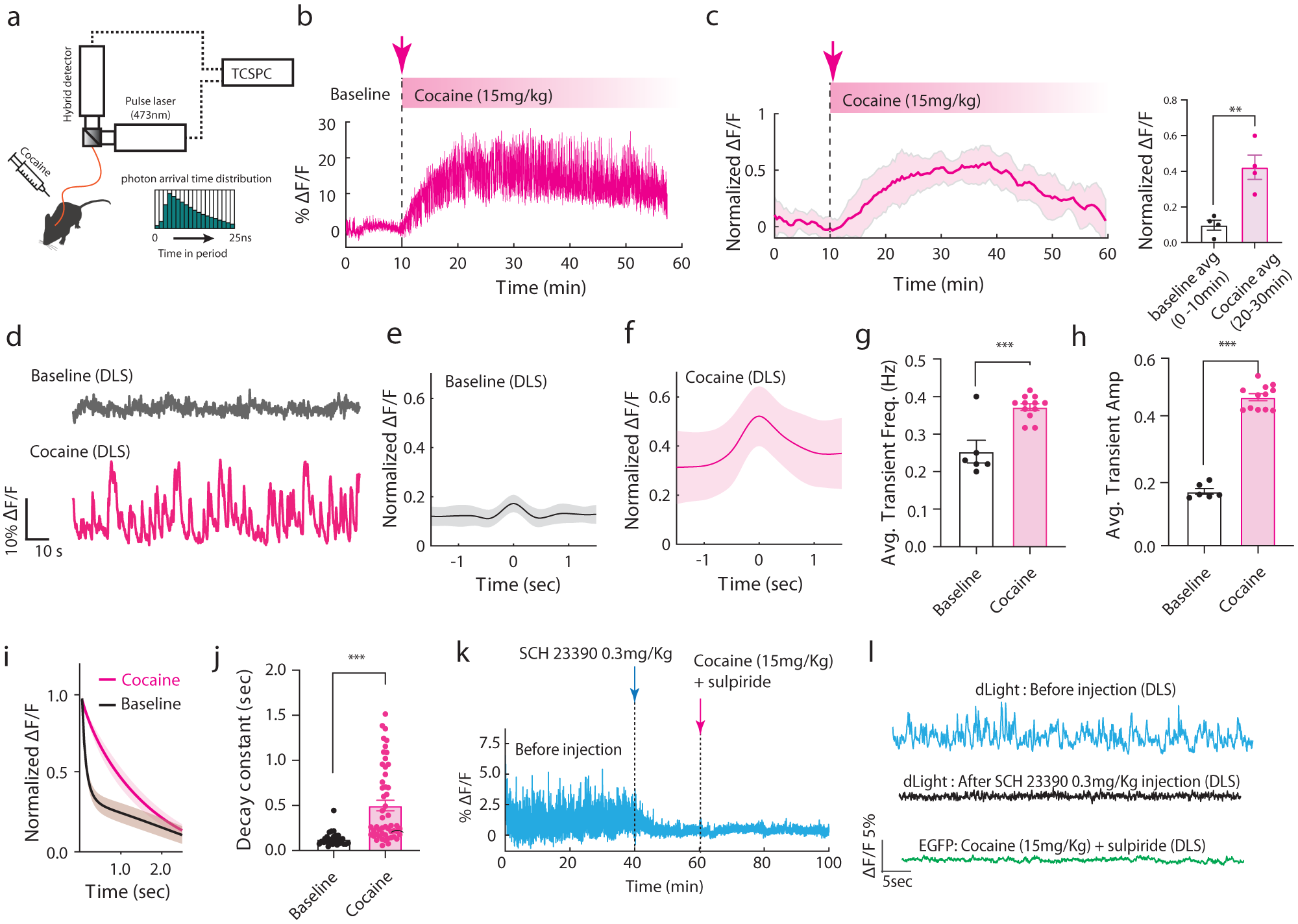 Fig. 4: In vivo dopamine measurement in DLS following cocaine administration.
